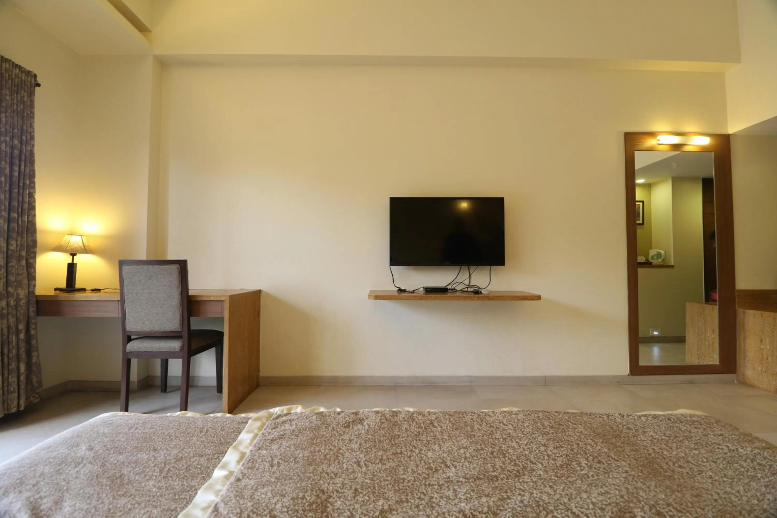 TV and multimedia in VITS Kamats Resort, Silvassa