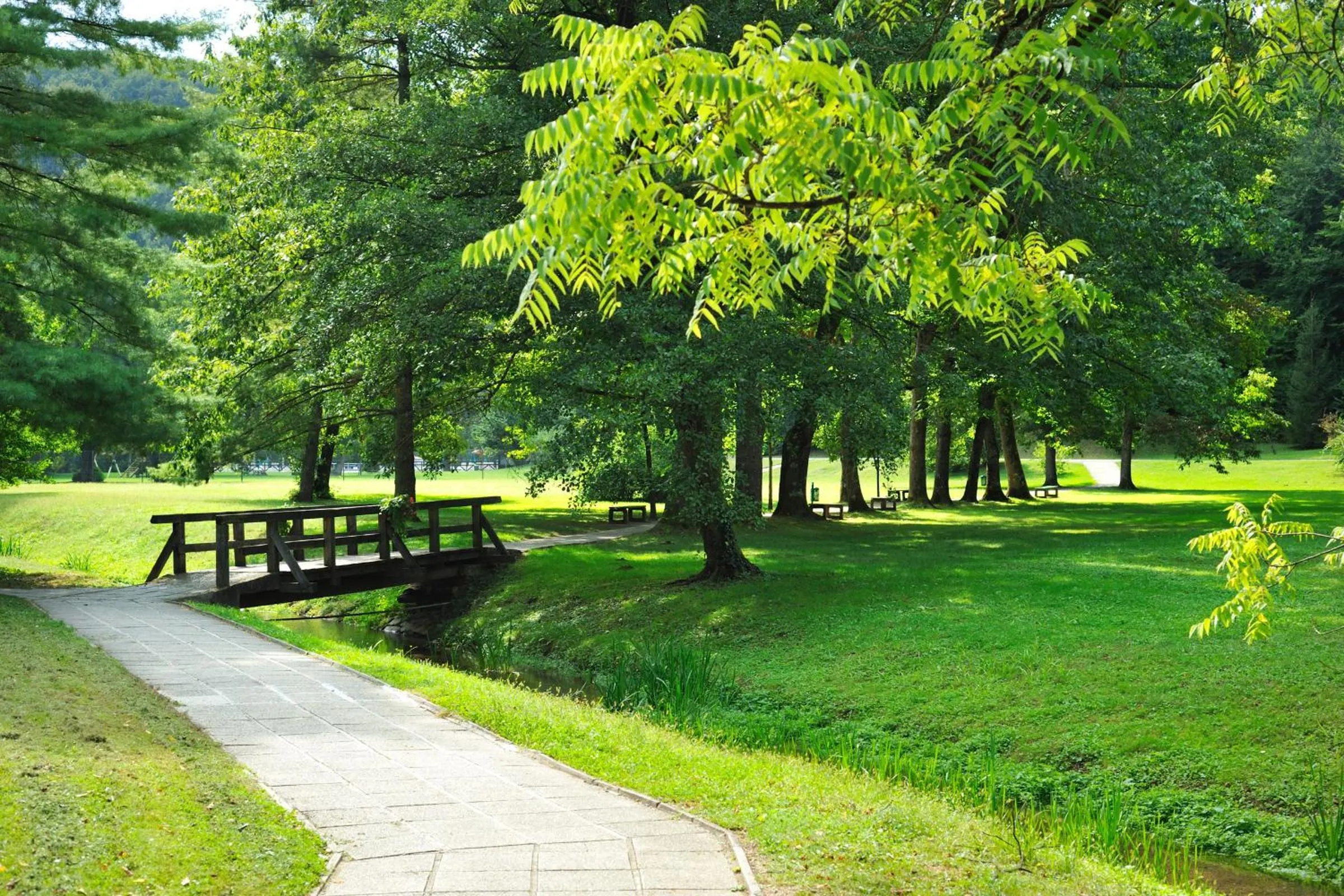 Garden in Hotel Toplice - Terme Krka