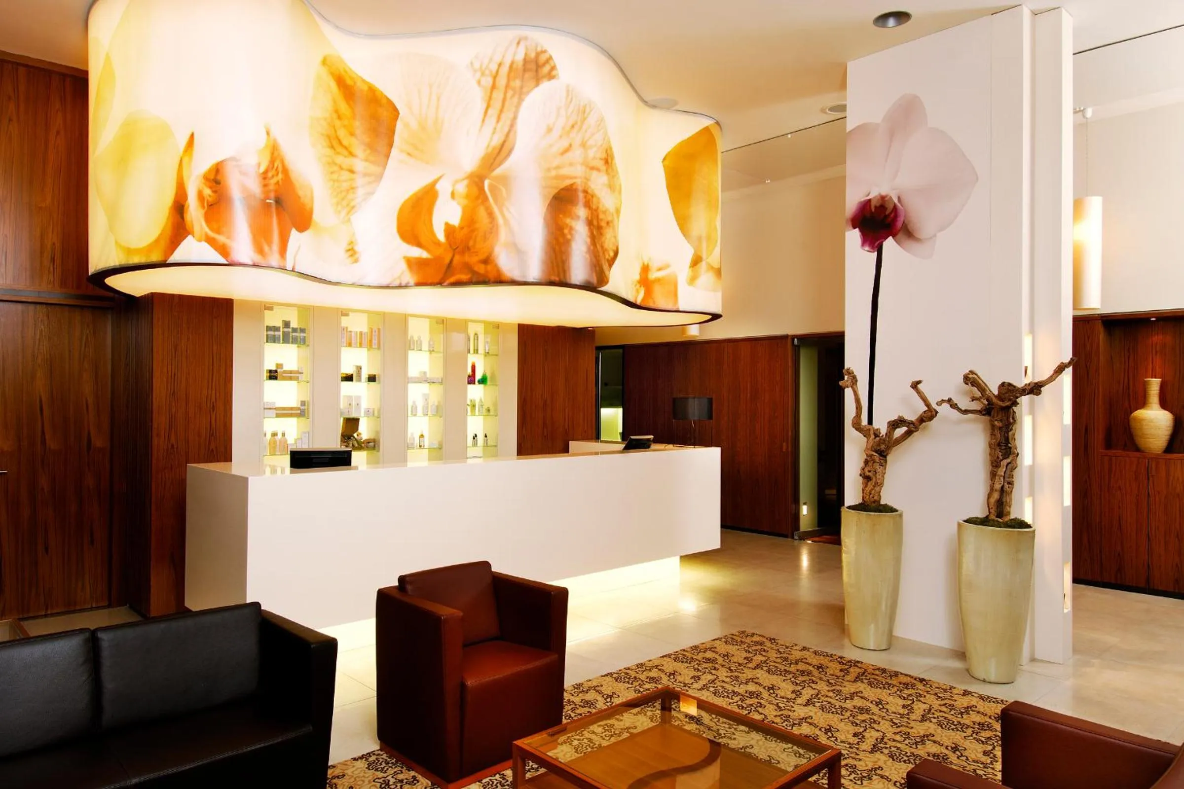 Spa and wellness centre/facilities in Hotel Toplice - Terme Krka