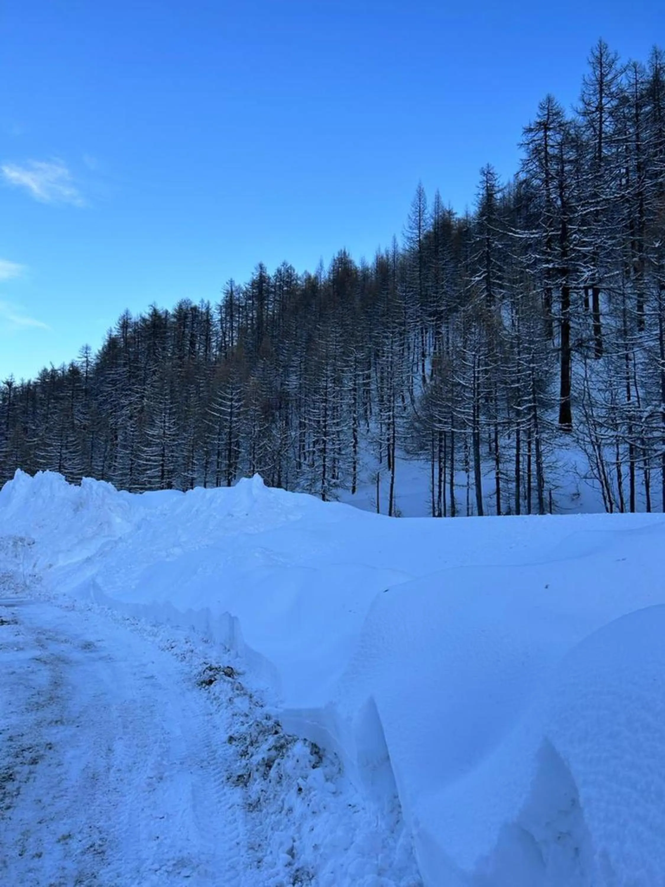 Residence Nube D'Argento