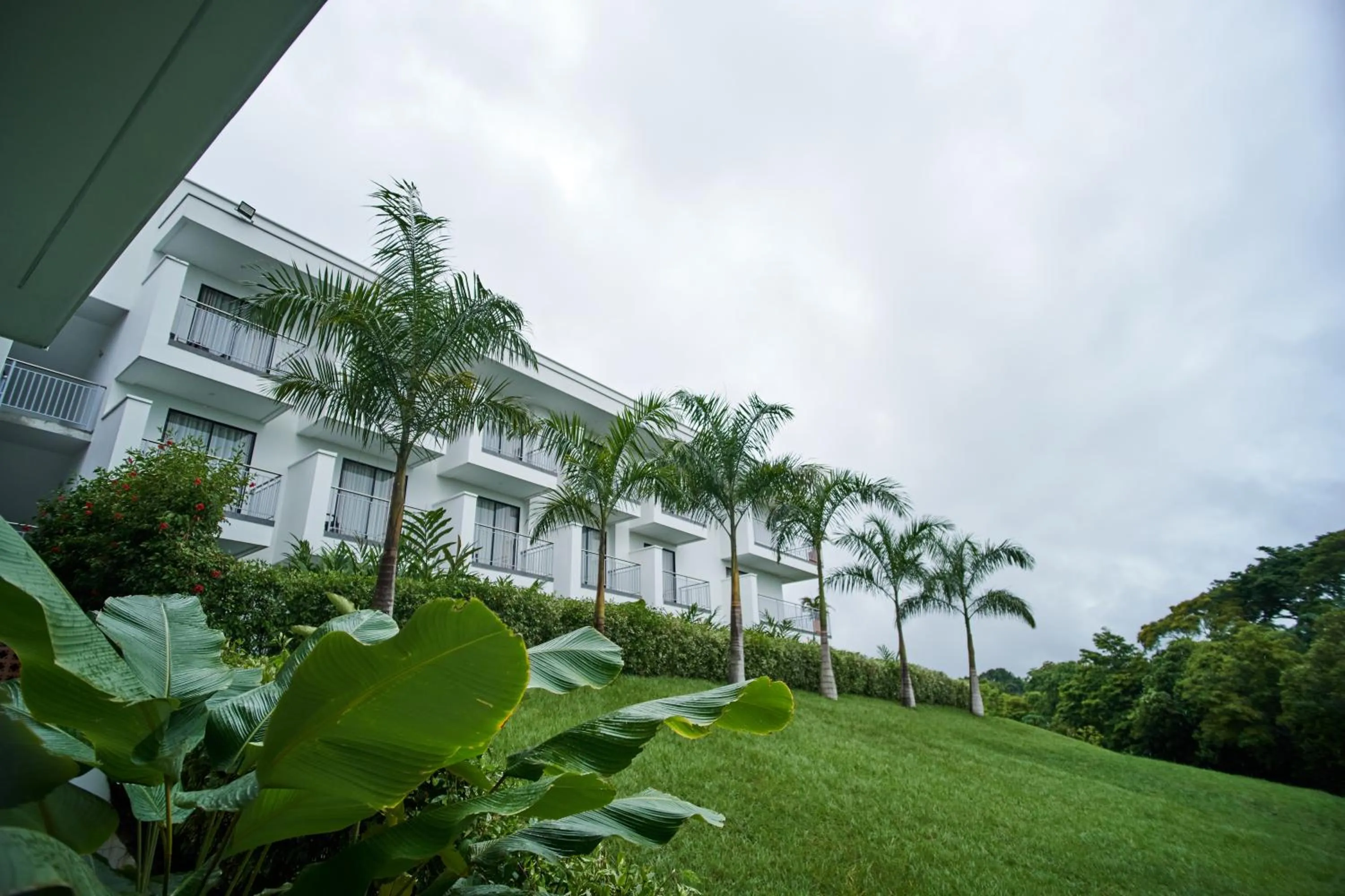 Street view in Hotel Arbóreo Doradal