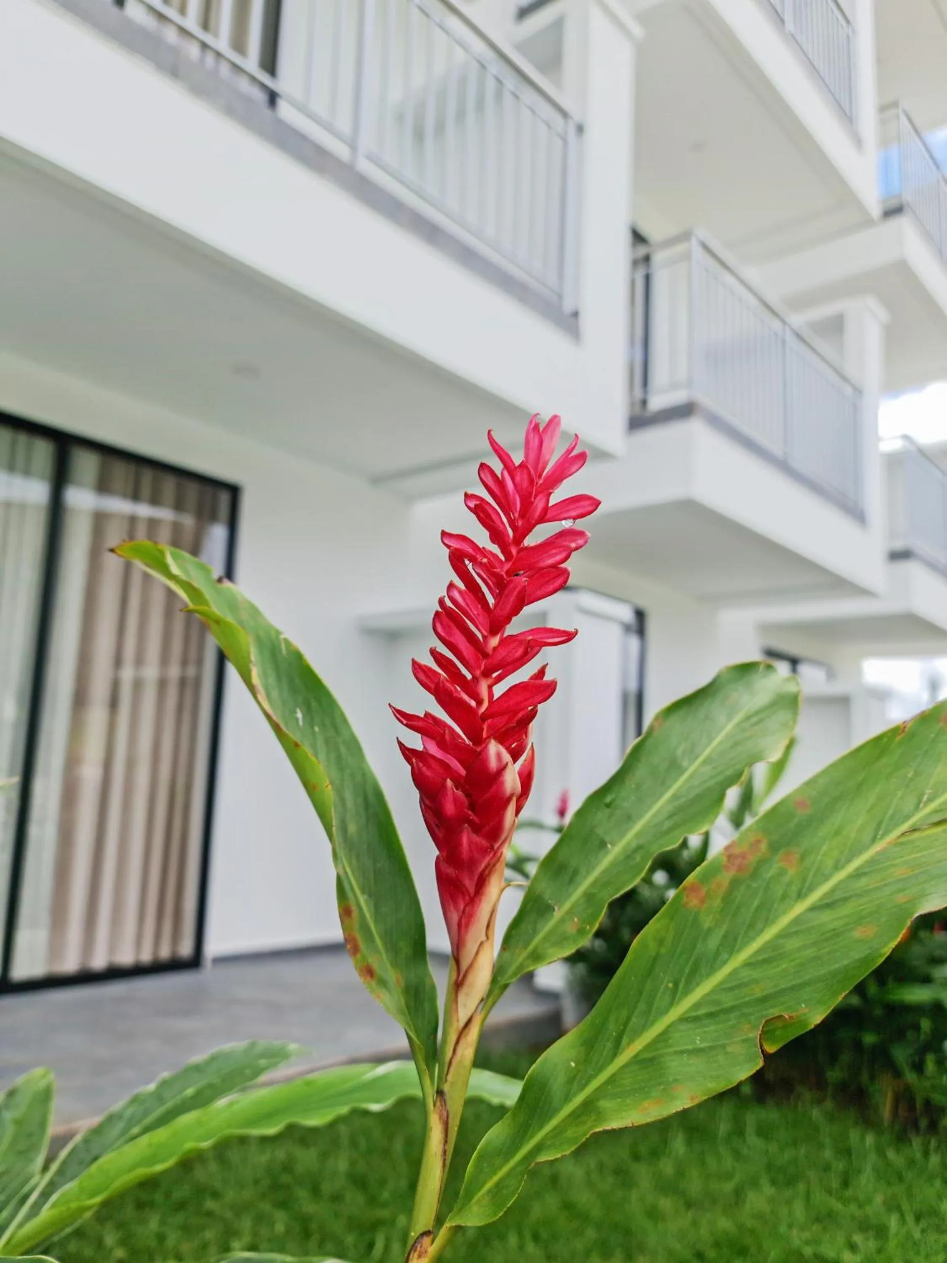 Off site in Hotel Arbóreo Doradal