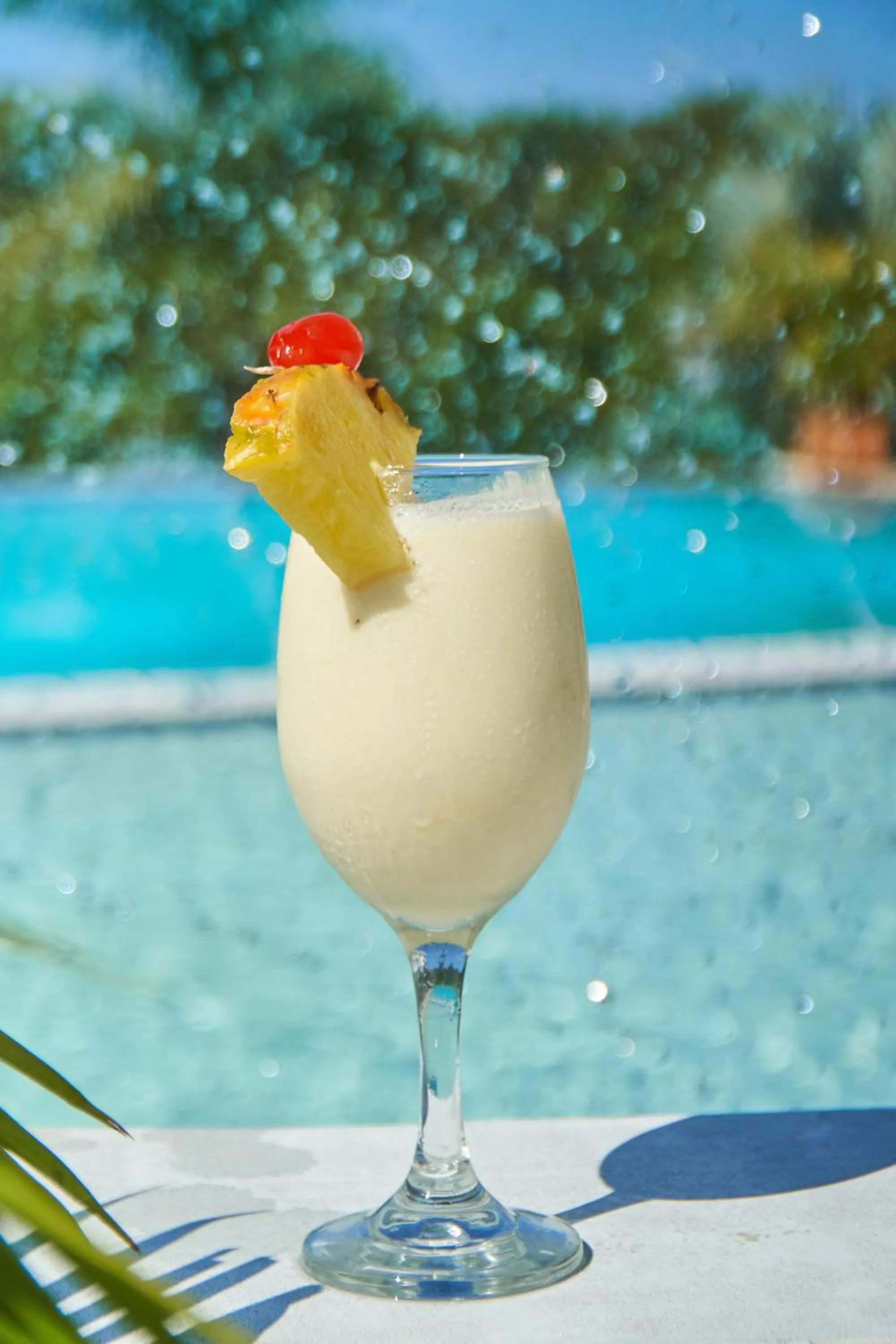 Drinks in Hotel Arbóreo Doradal