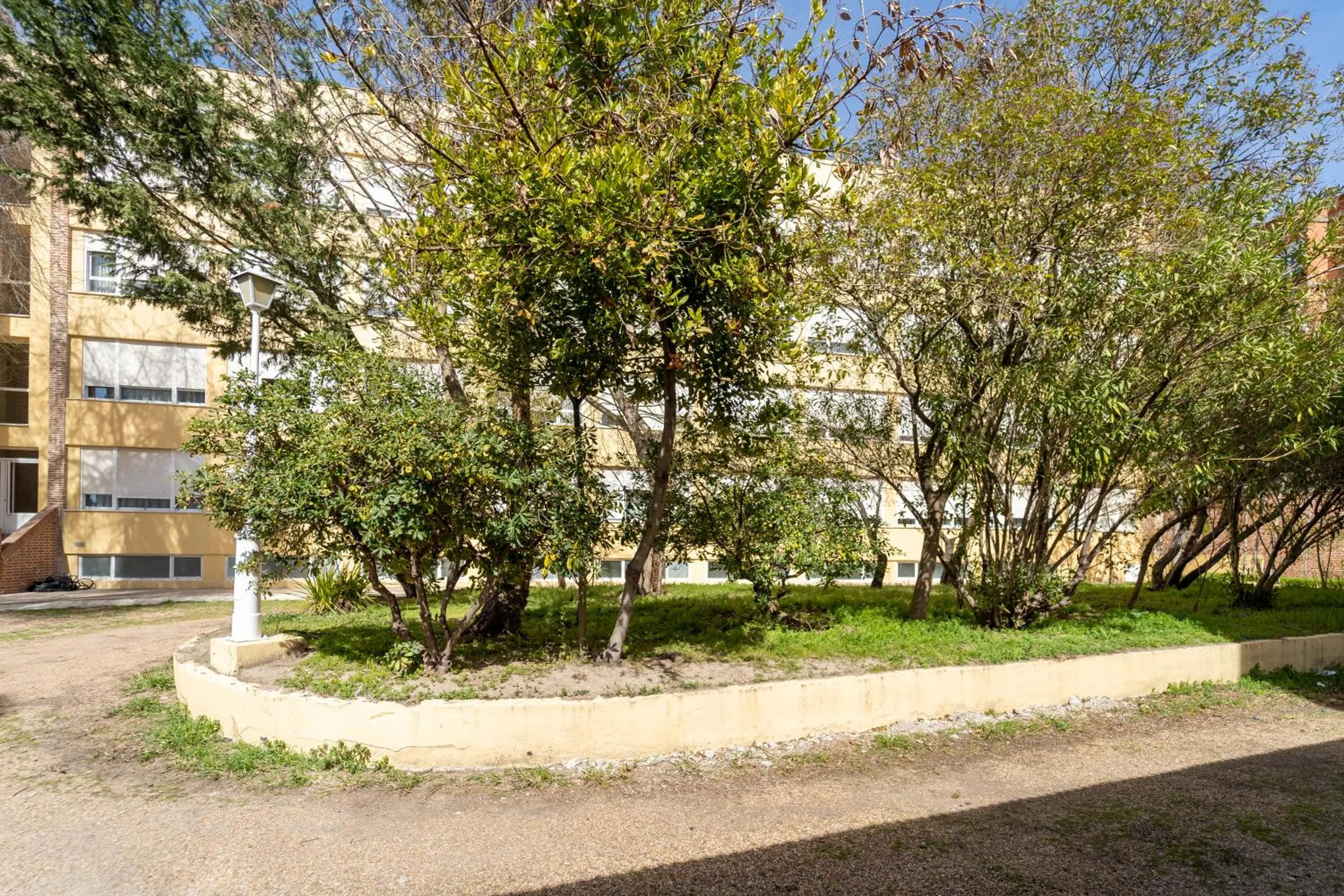 Property building in Hotel La Mota by Punta25 Hotels Group