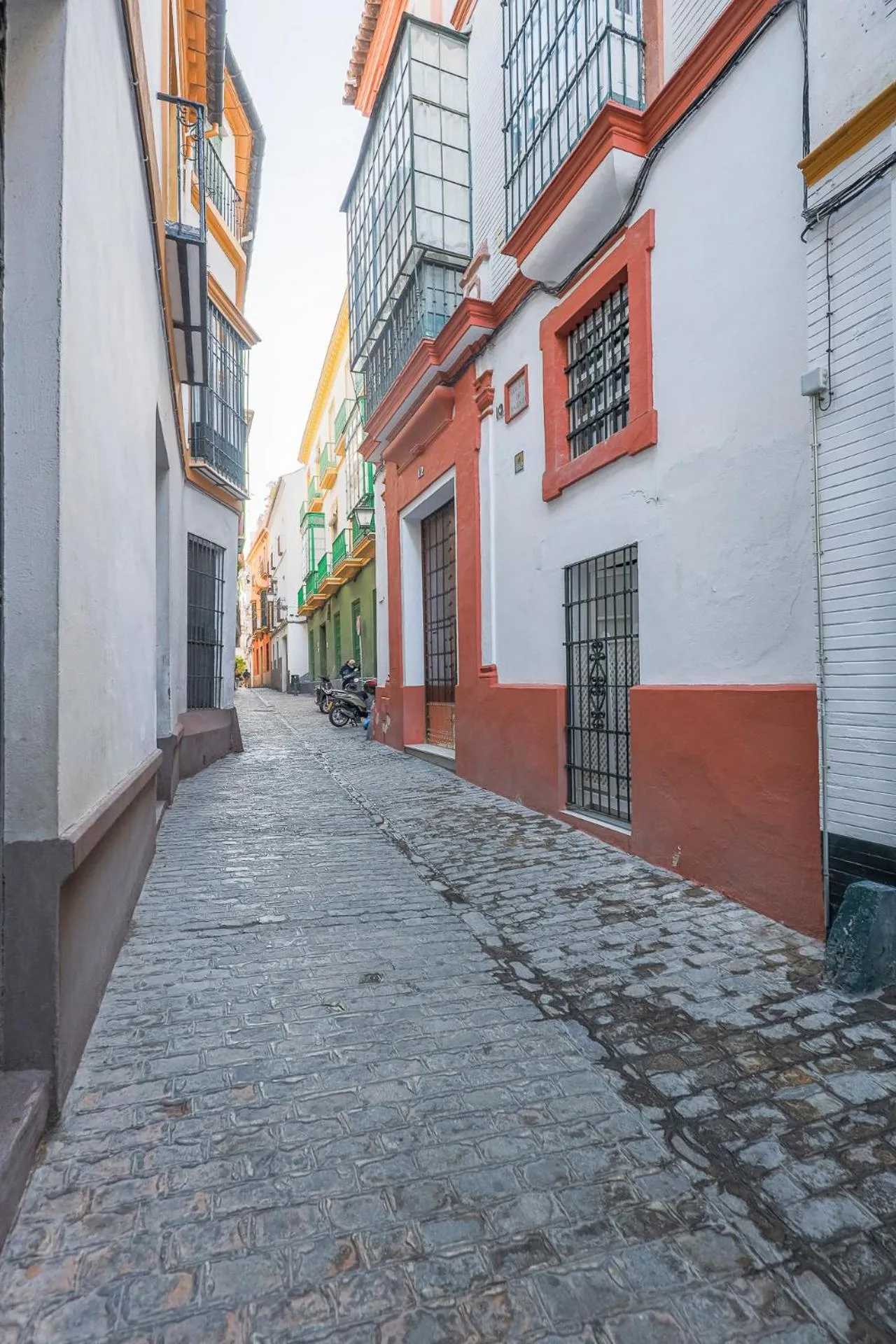 San isidoro 12 nuevo