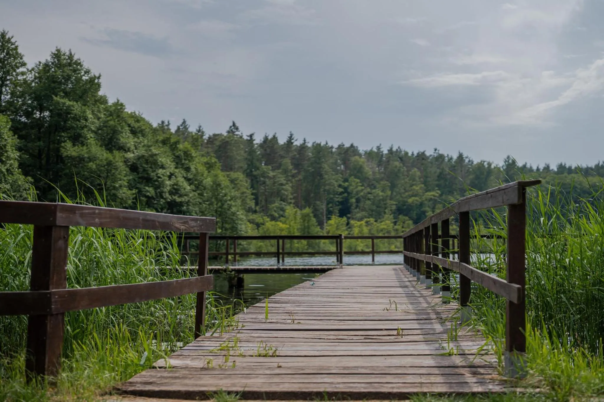 Spring in Ośrodek Wypoczynkowy Leśne Ustronie