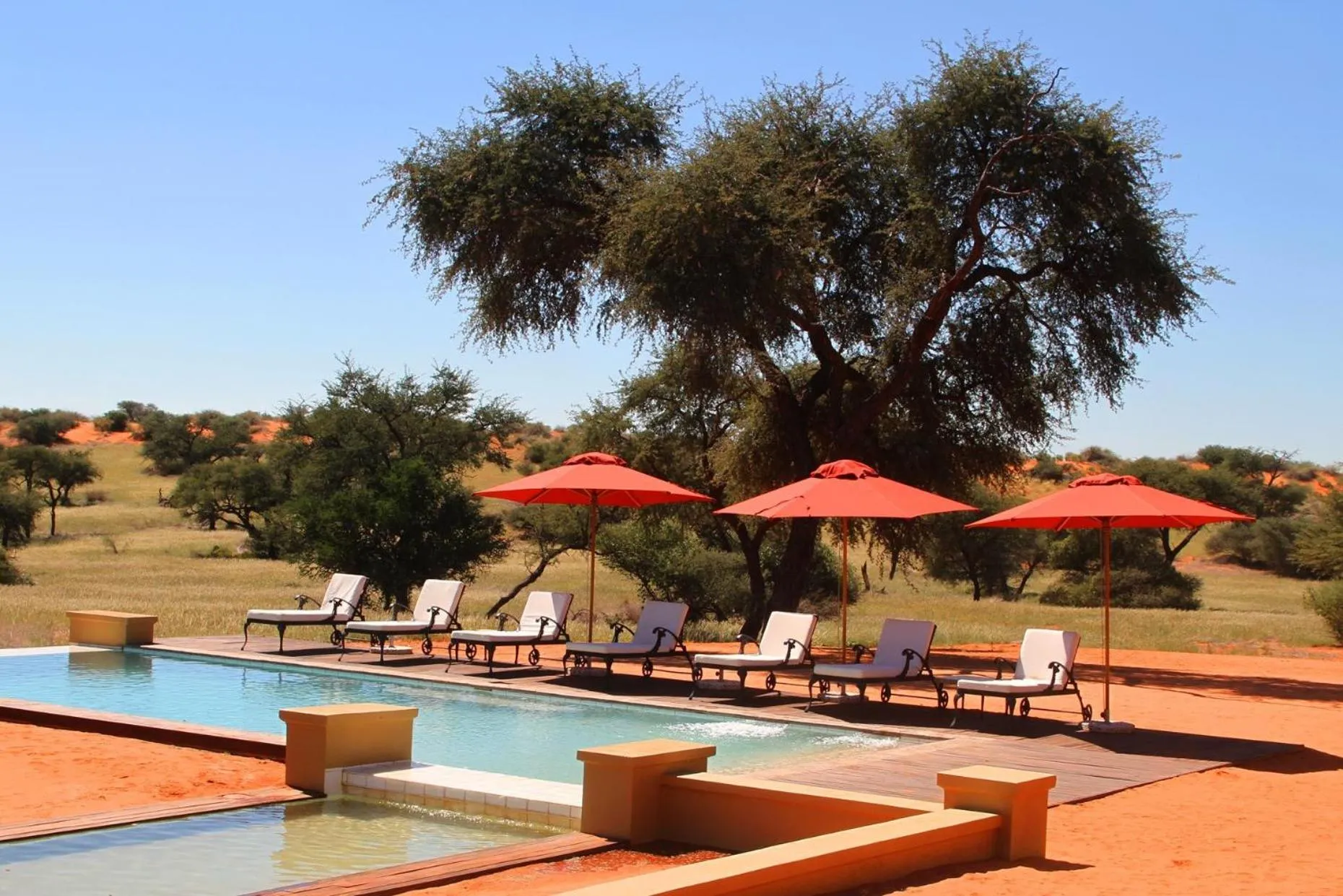 Swimming pool in Zebra Kalahari Lodge