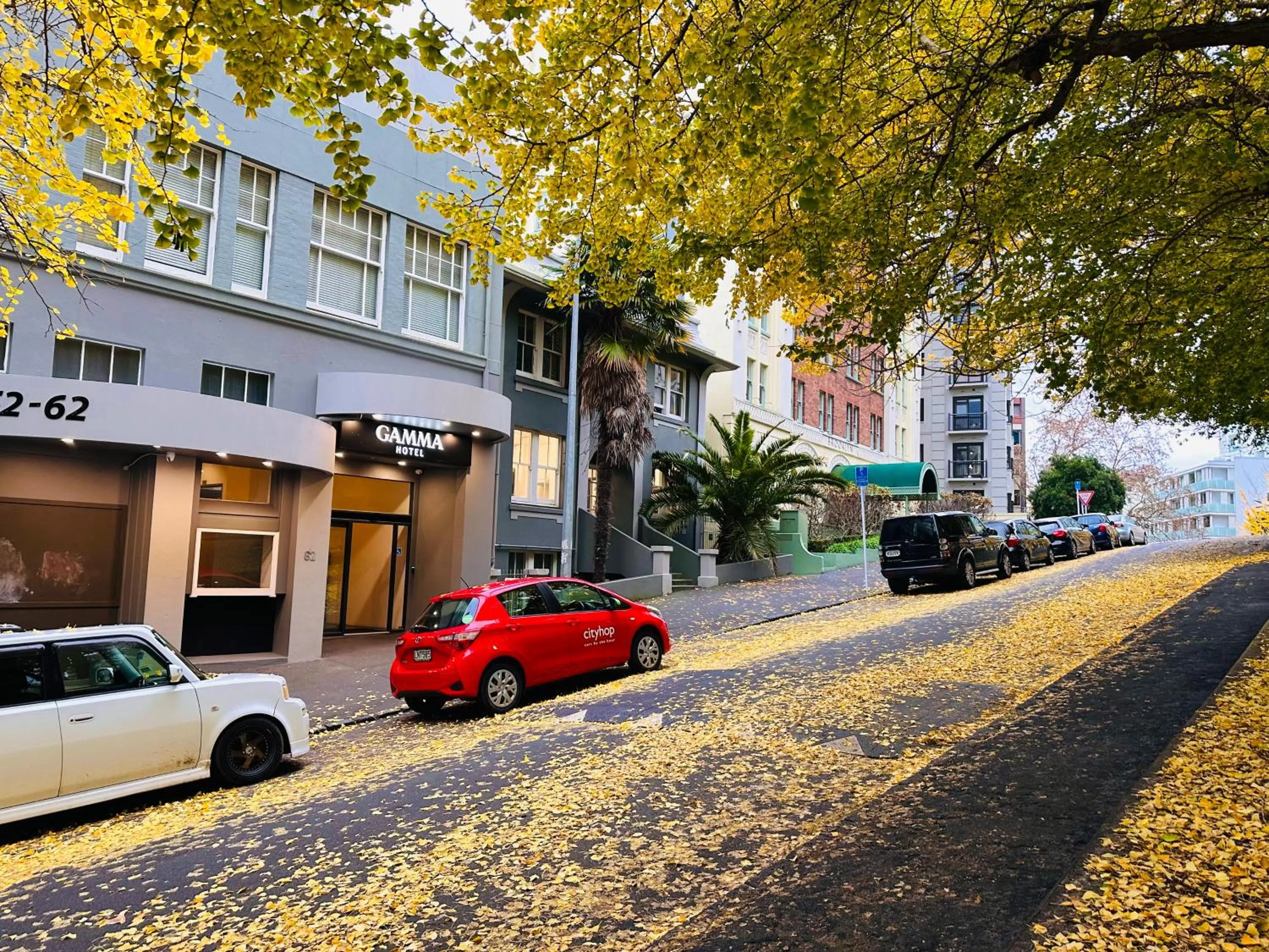 Property building in Gamma Hotel