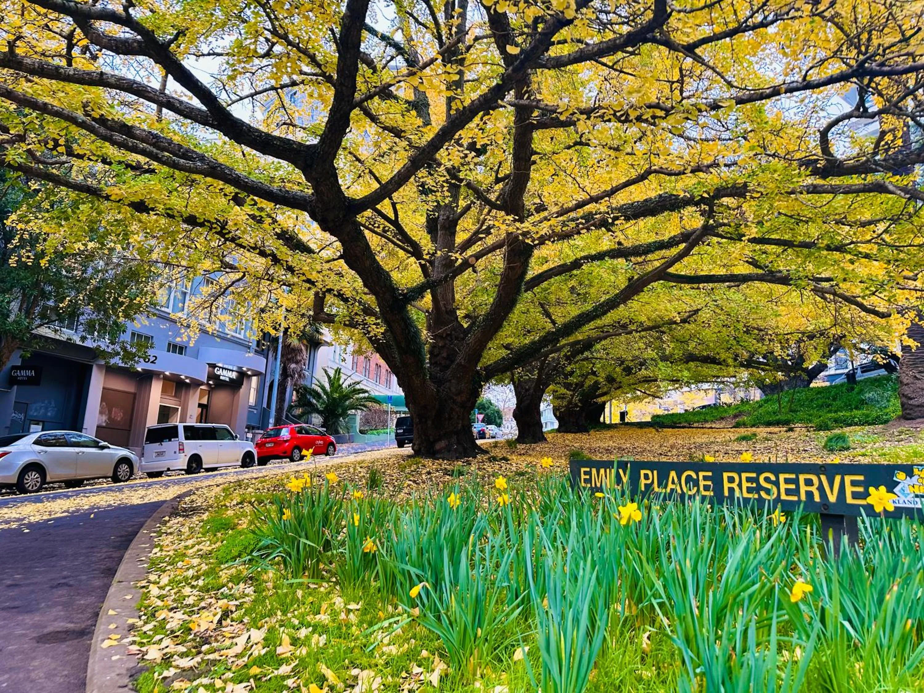 Property building in Gamma Hotel