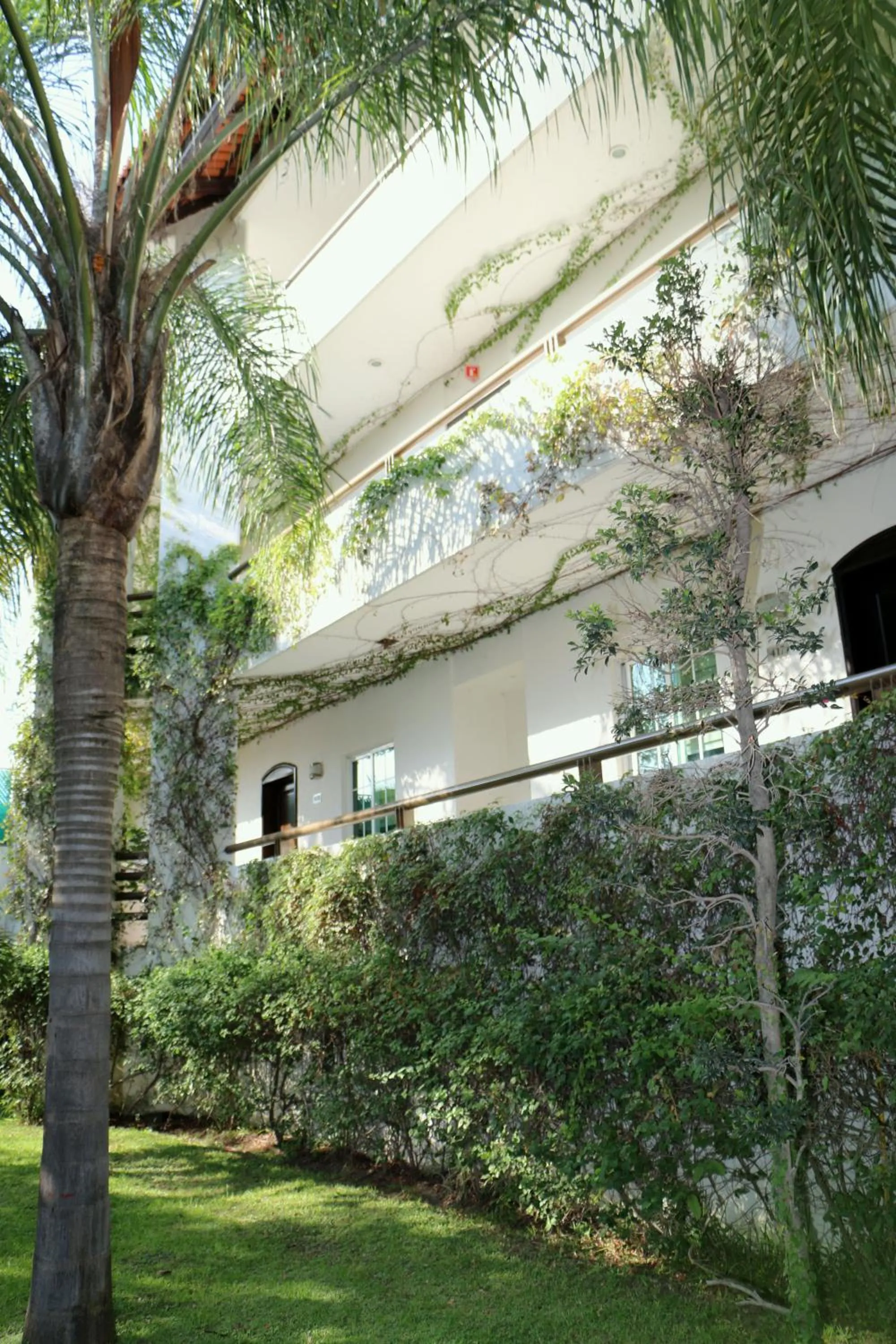 Decorative detail in Áurea Hotel and Suites