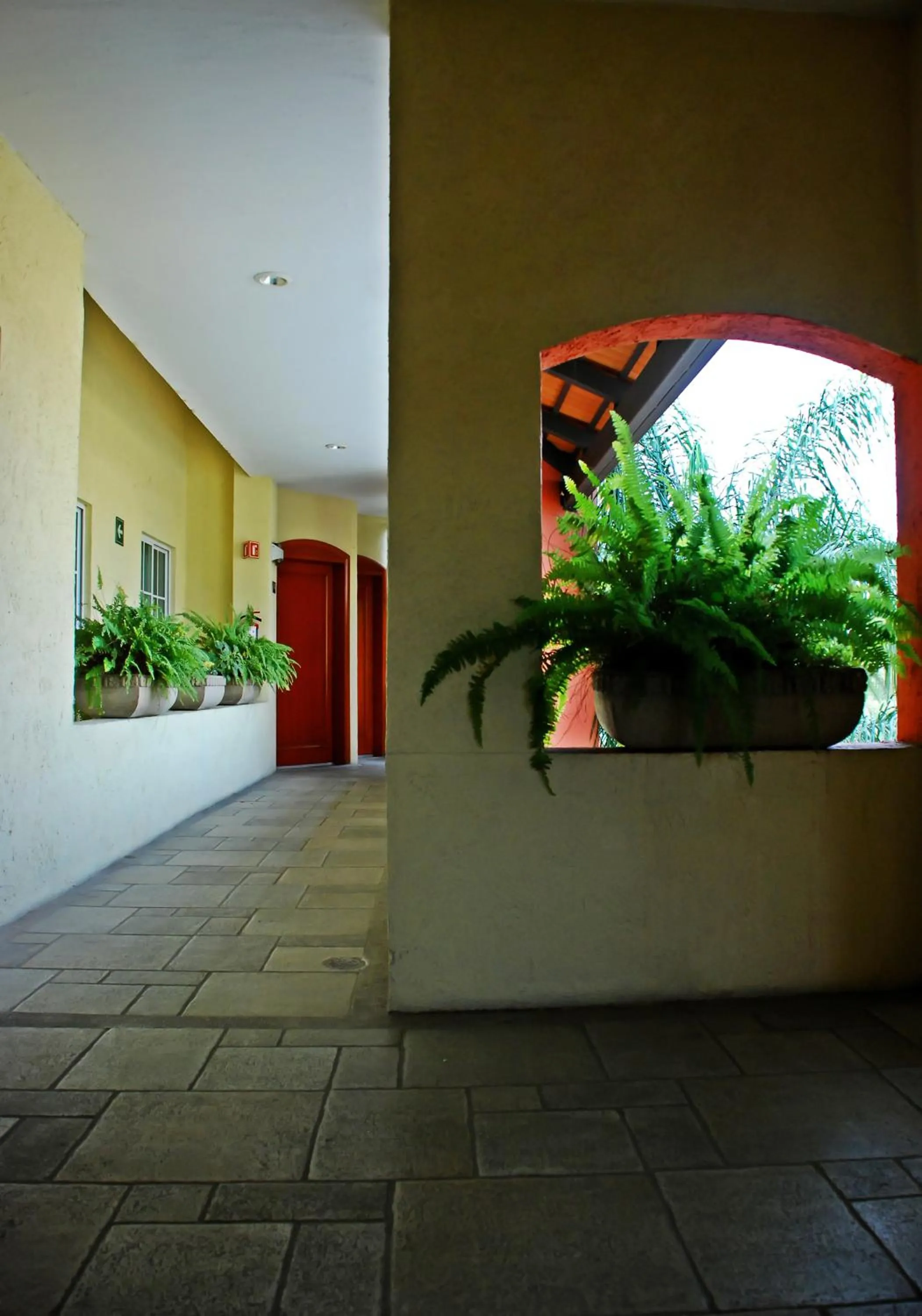 Garden in Áurea Hotel and Suites