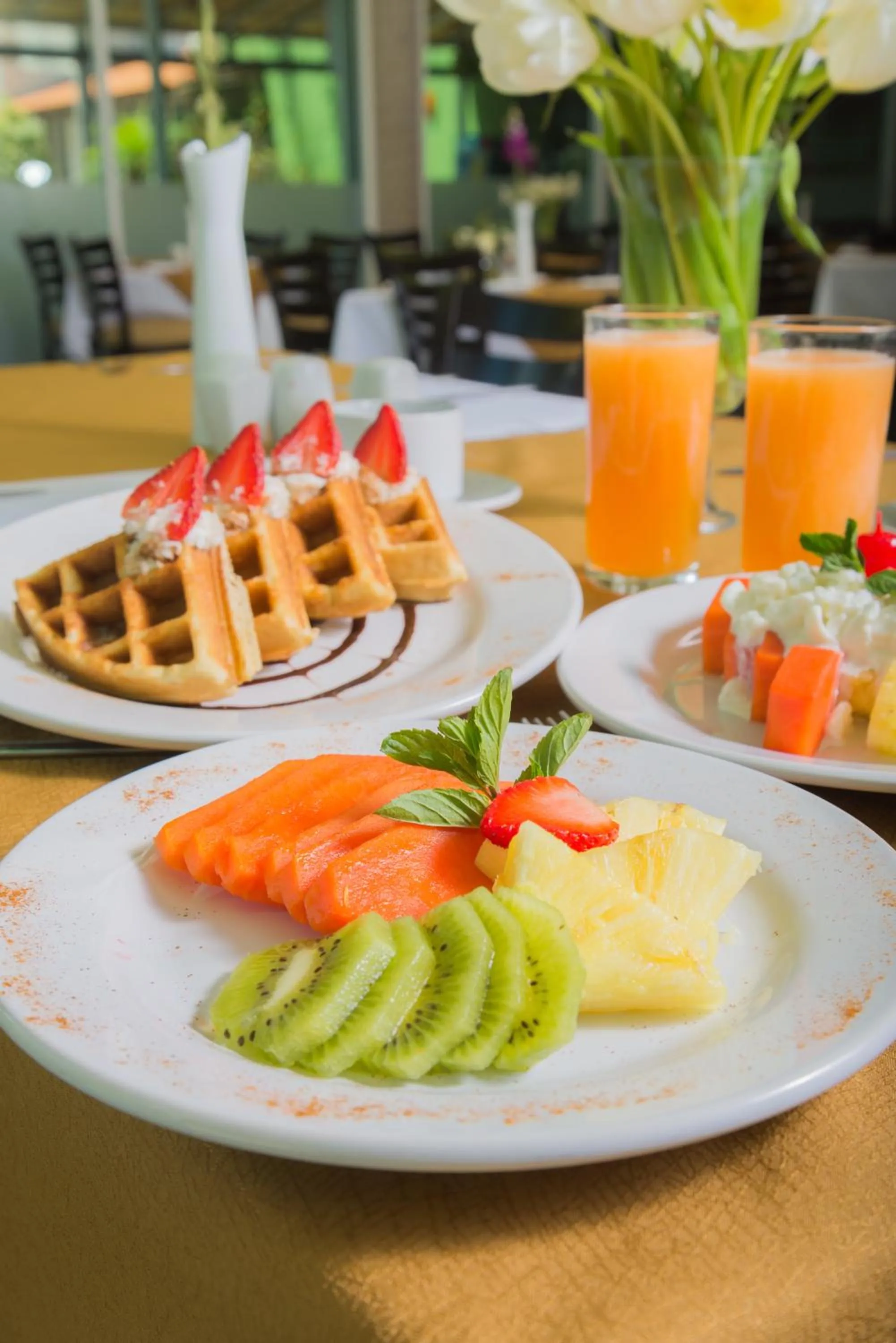 Food close-up in Áurea Hotel and Suites