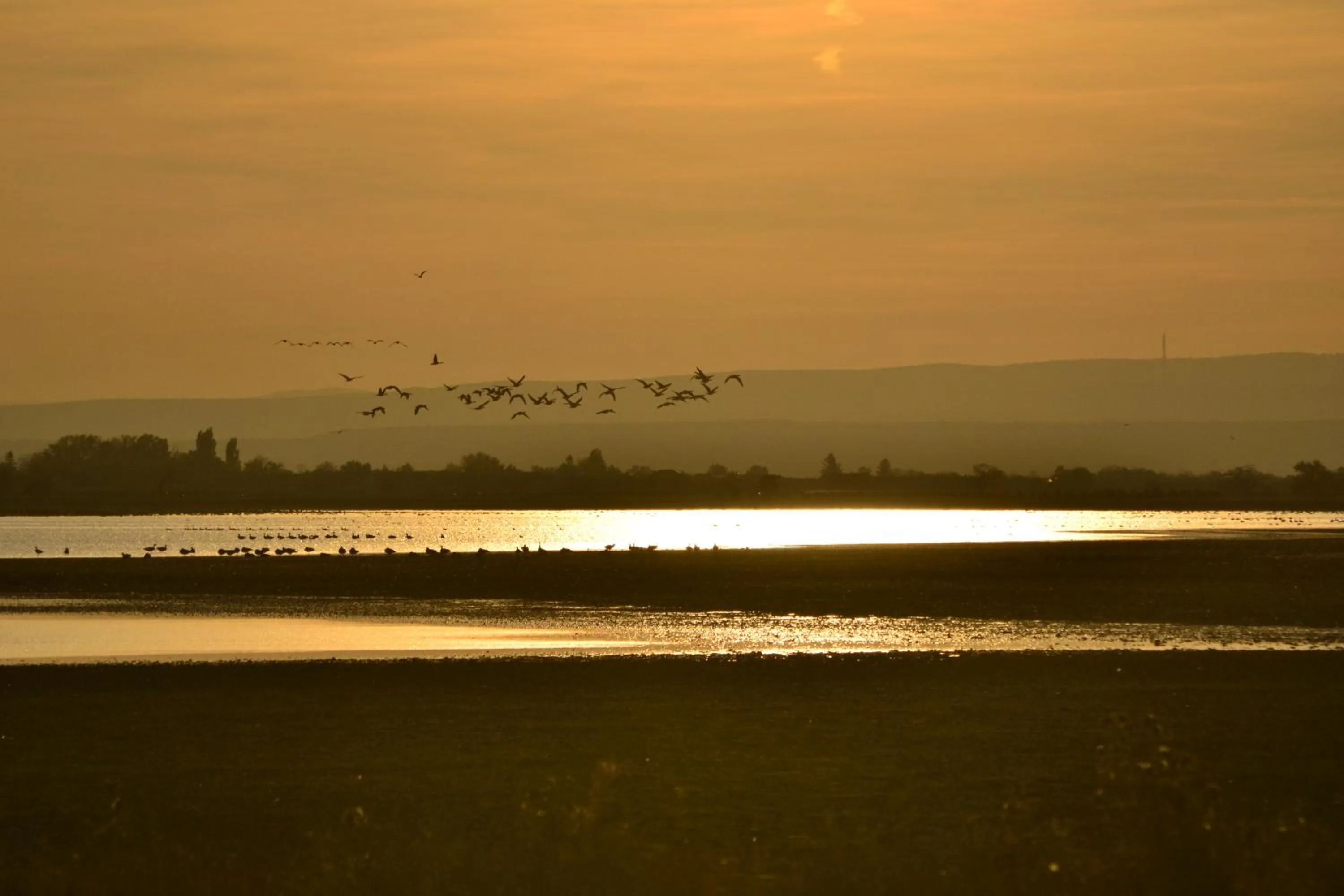 Area and facilities in Pannonia Tower