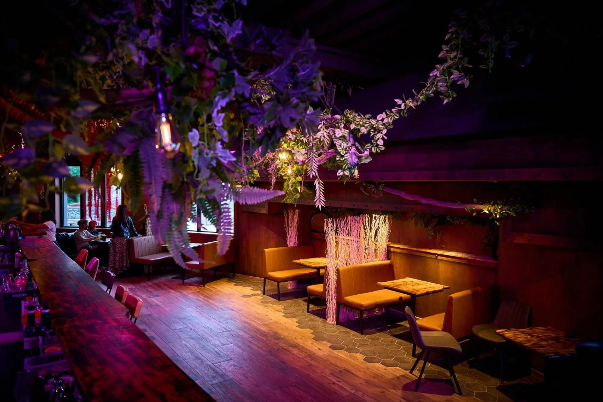 Night in In Jungle Hôtel