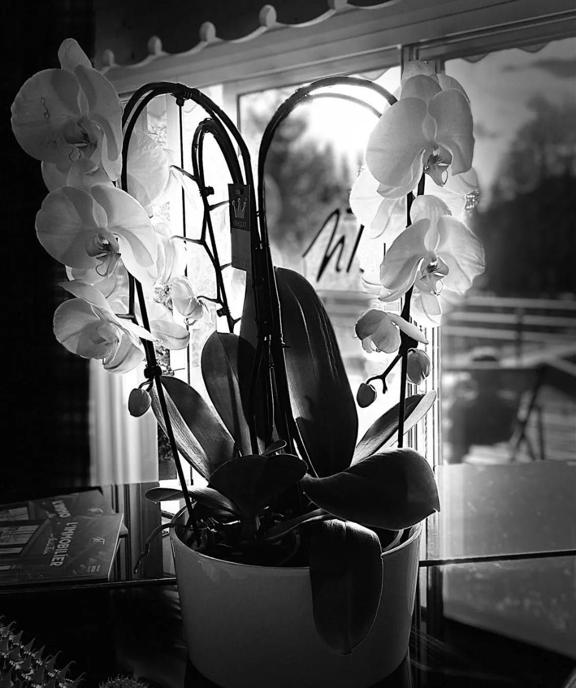 Decorative detail in Hôtel Le Labrador 1971