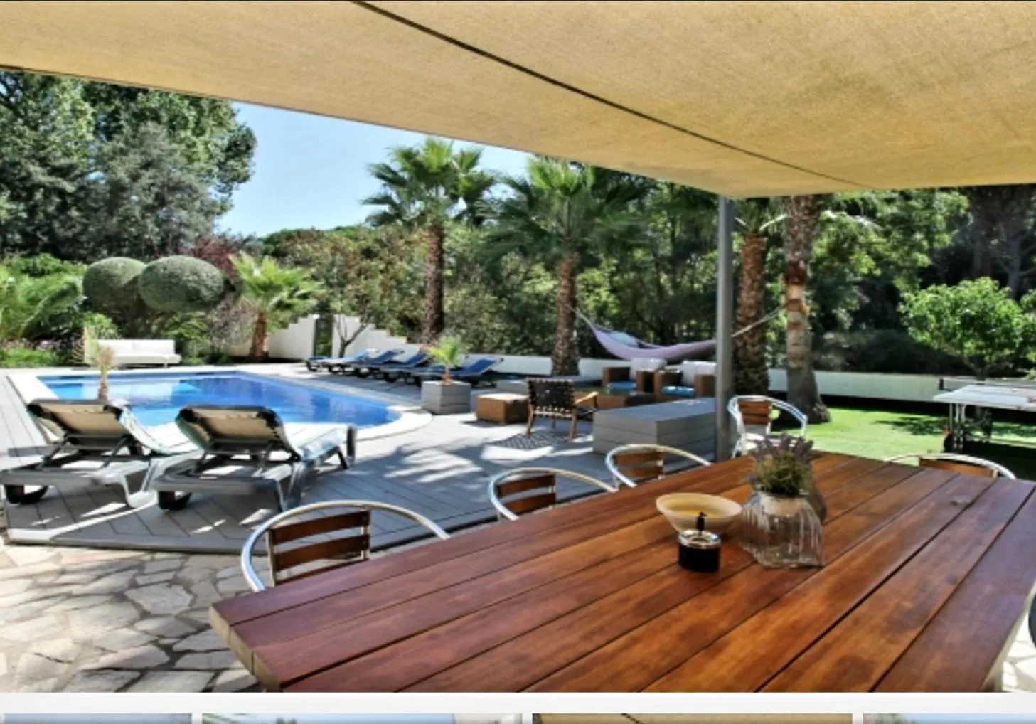 Swimming pool in Villa Francisco