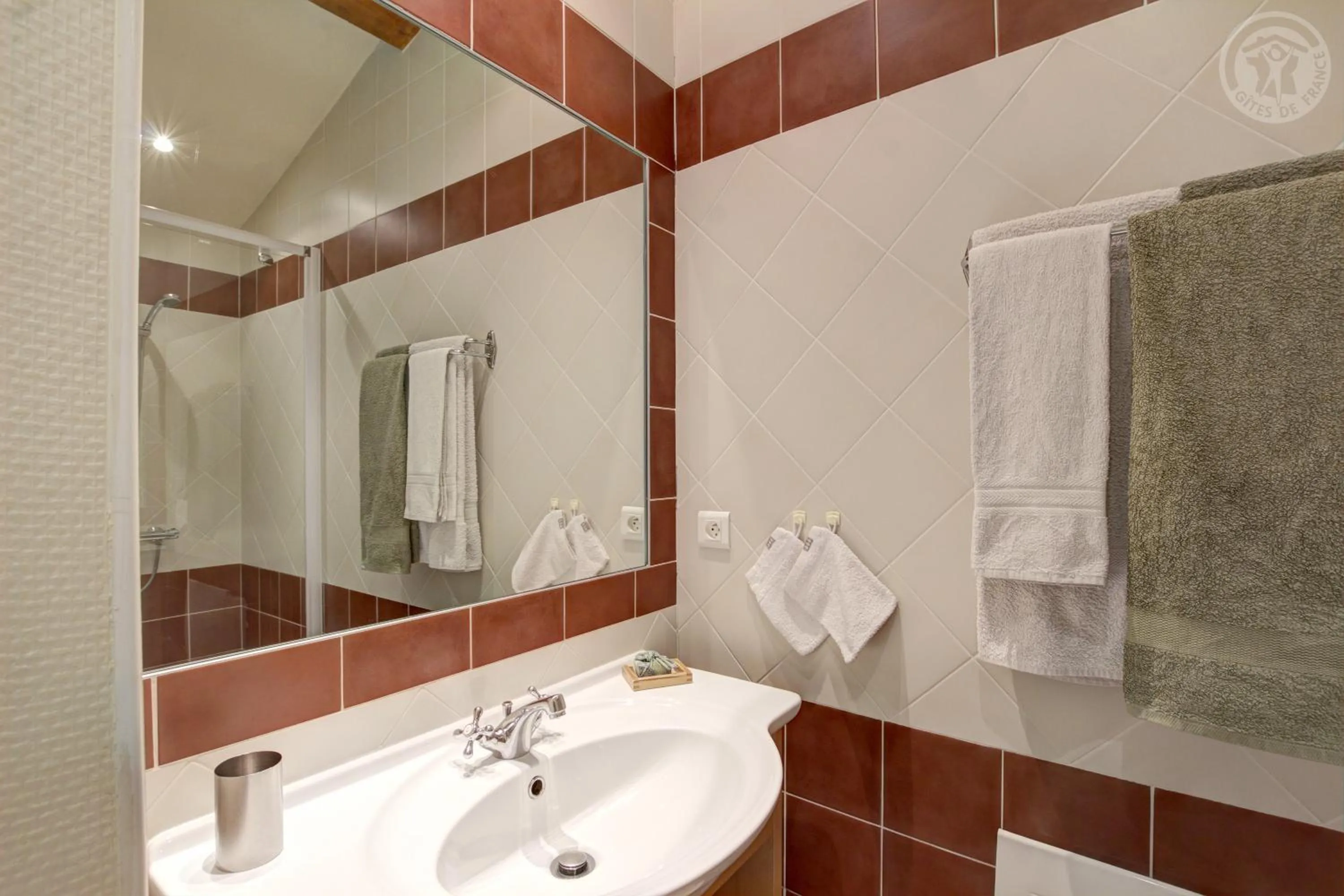 Shower in Chambres d'Hôtes Ondine et Igor