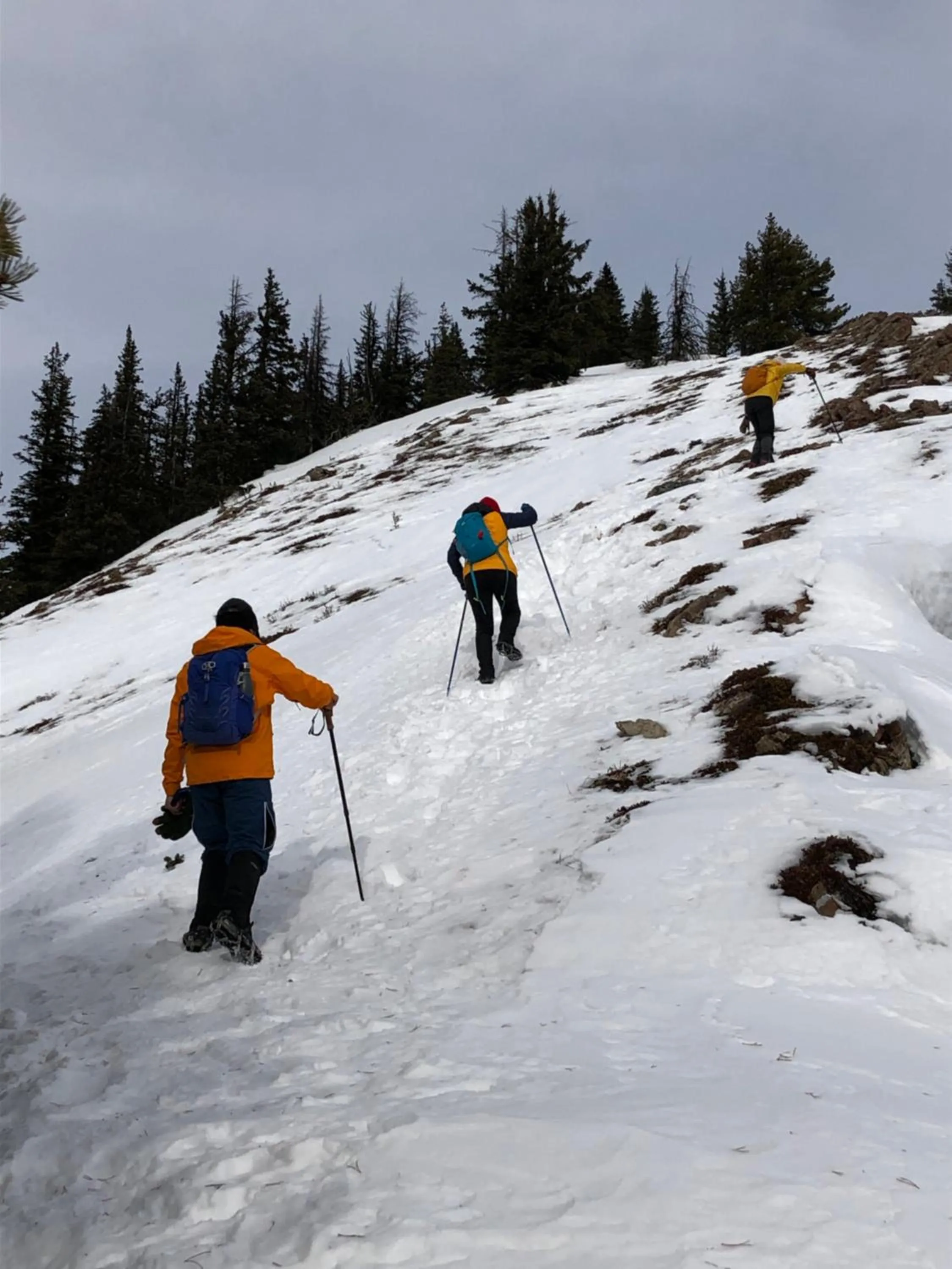 Mountain View One Bedroom Vacation Suite - WindTower 119