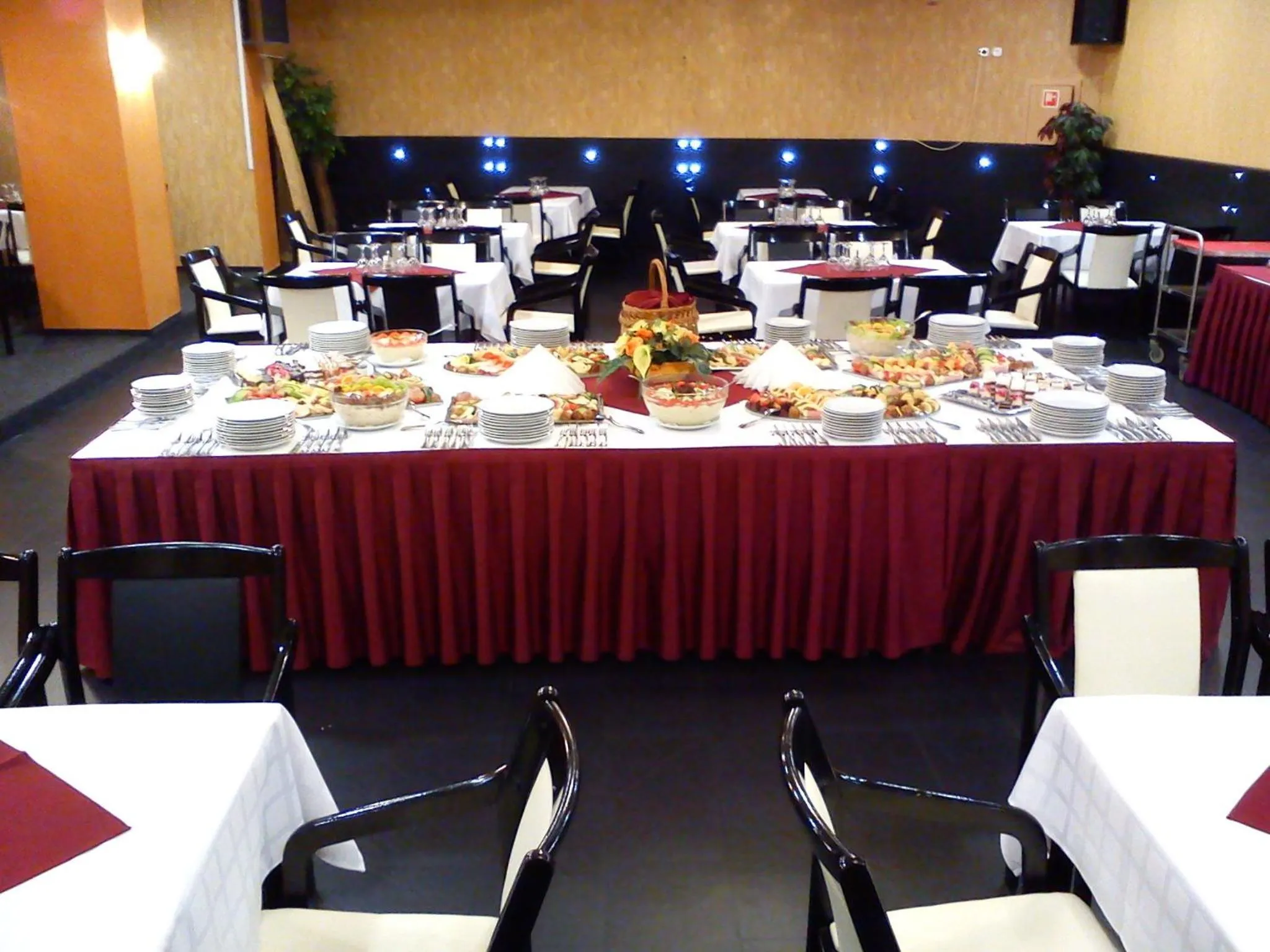 Business facilities in Hotel Centrál