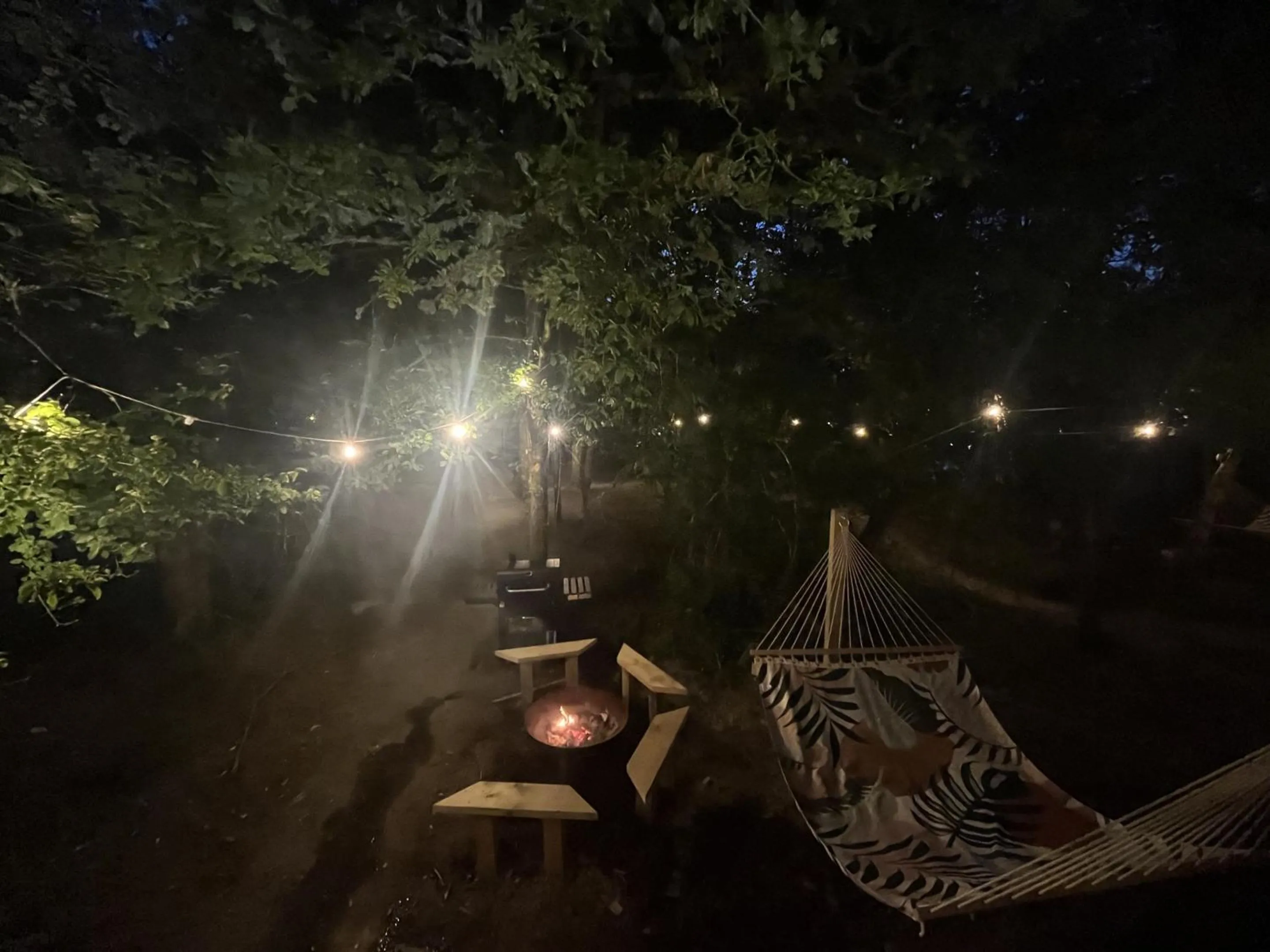 Property building in Cariad