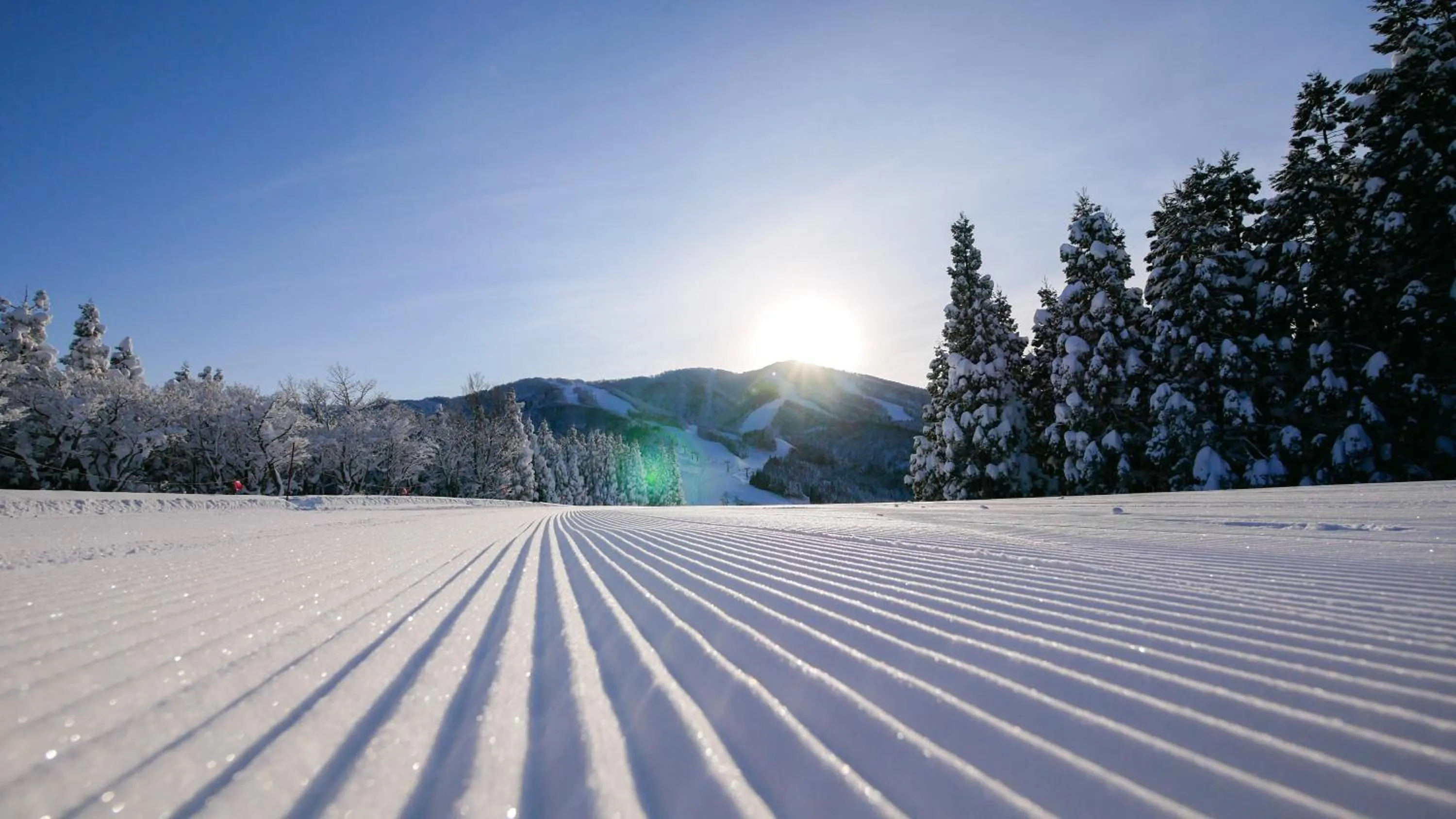 Skiing in Hotel Harvest Skijam Katsuyama