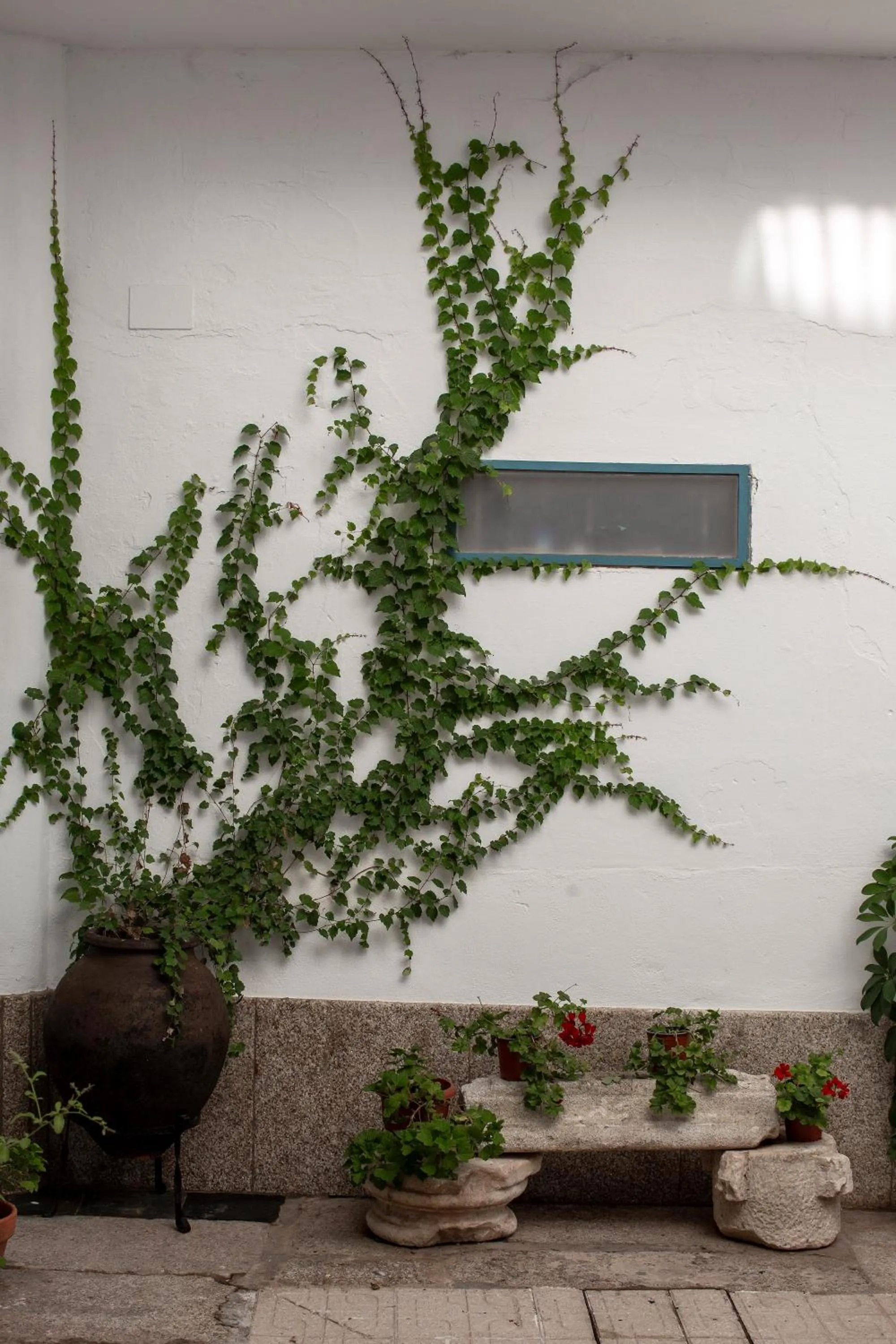 Property building in PETRONILA 1881