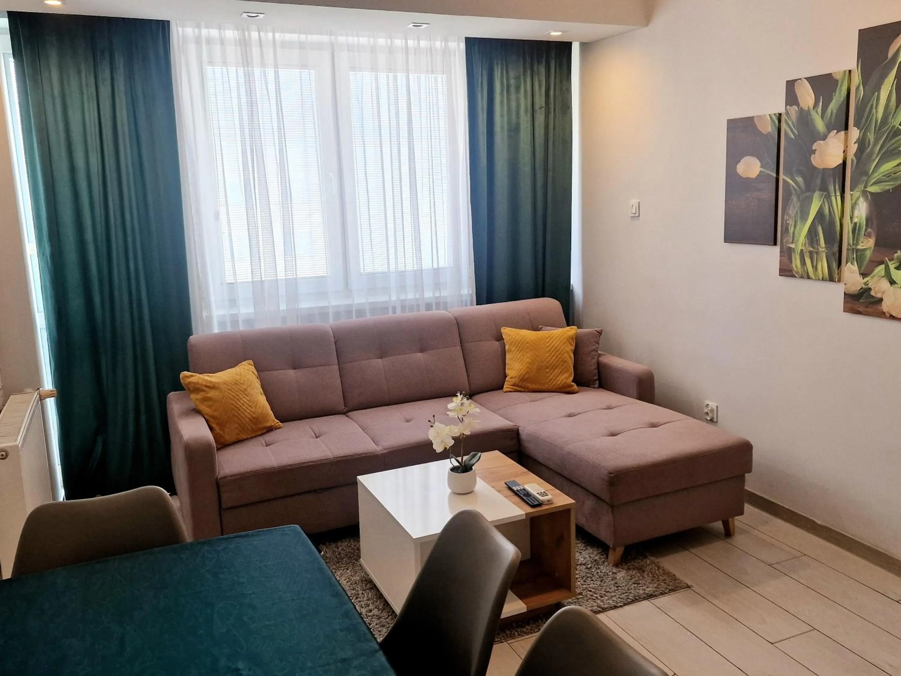 One-Bedroom Apartment in APARTAMENT 2+2