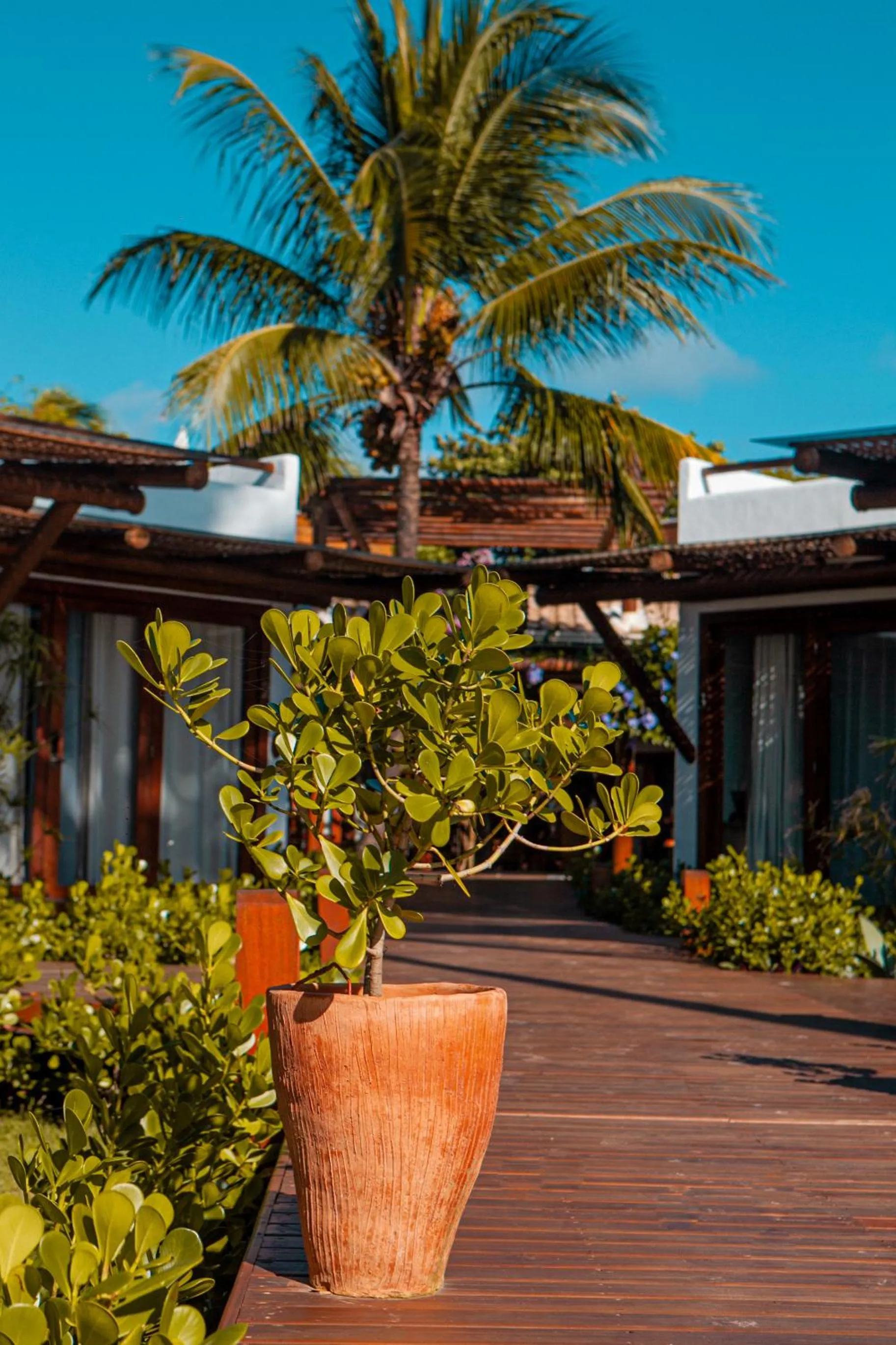 Garden in MAYIM VILLA