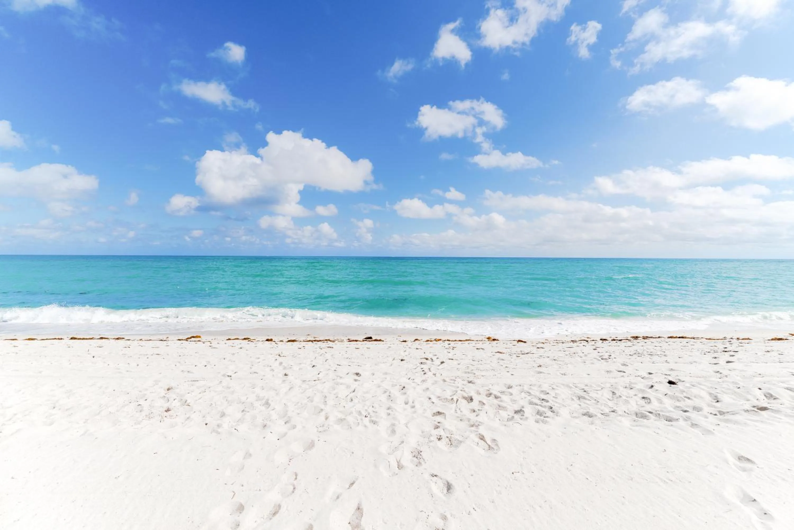 Natural landscape in PRAIA Hotel Boutique & Apartments Miami Beach