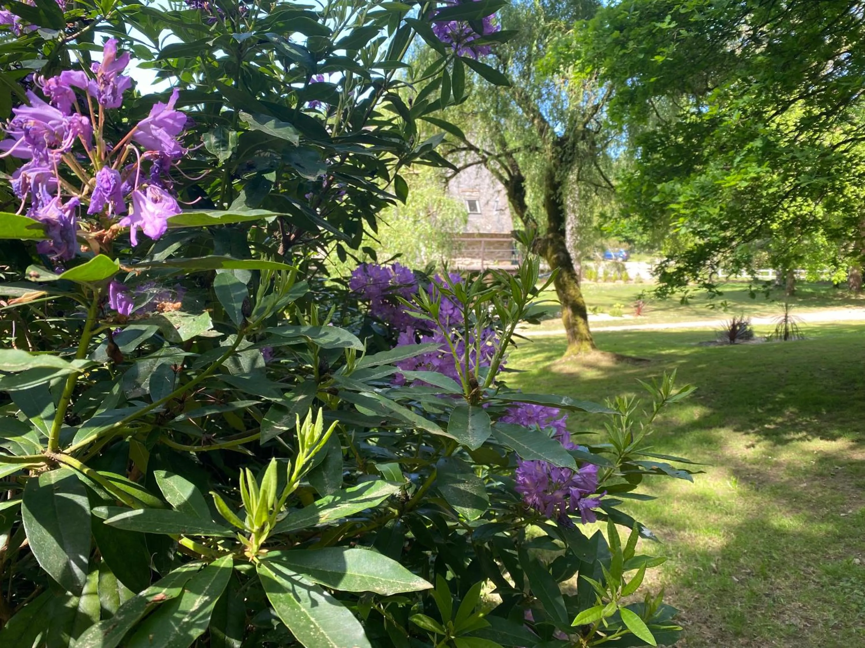 Garden in Les Moulins Du Duc ÉCOLODGE
