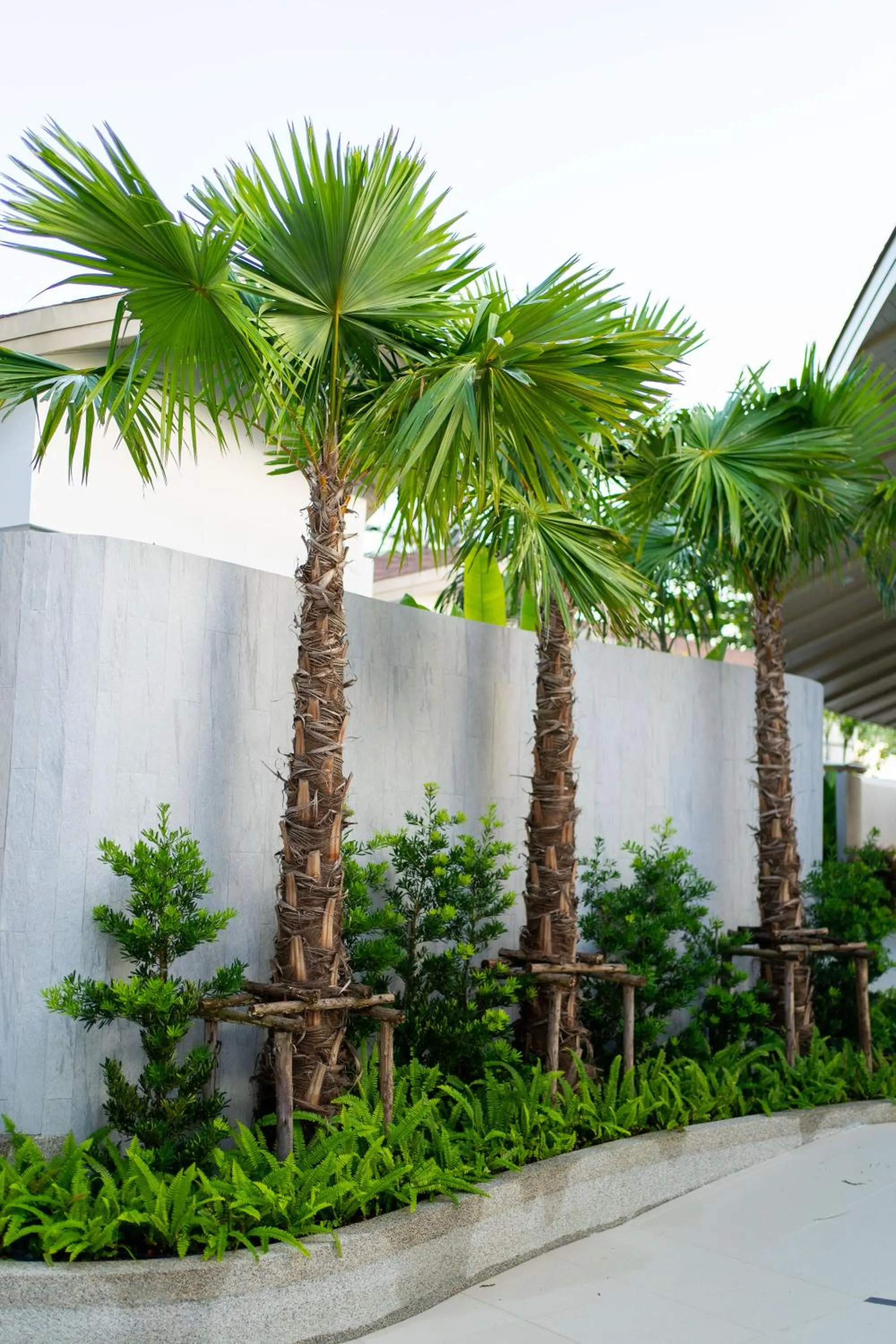 Property building in Panwaburi Beachfront Resort - SHA Extra Plus