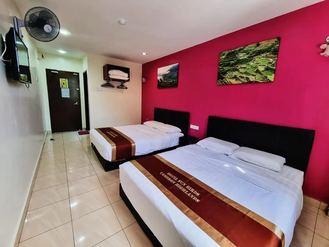 Bed in Hotel Sun Birds