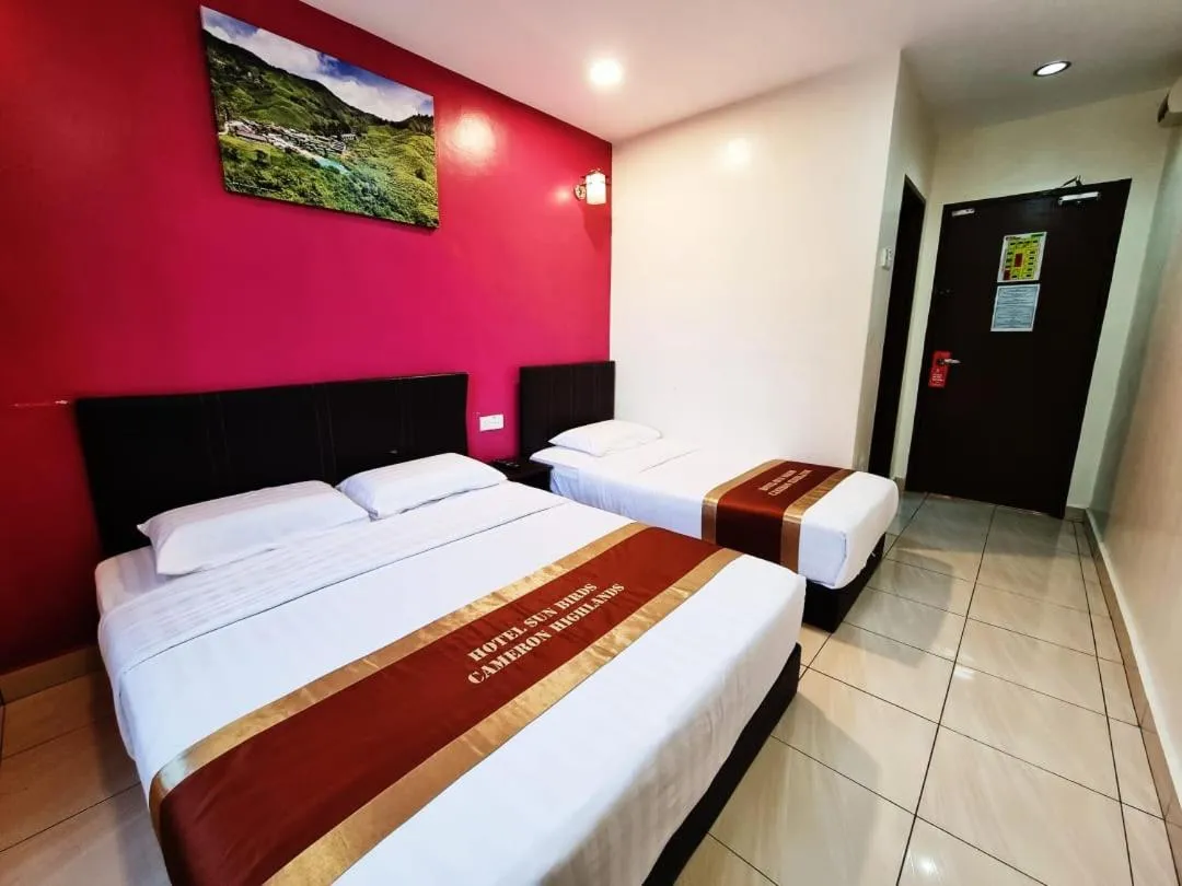 Bed in Hotel Sun Birds