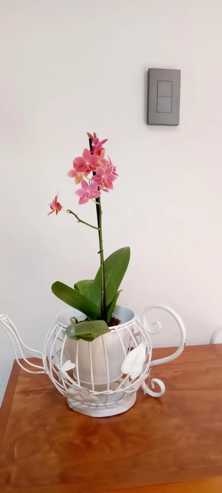 Casa de la Asunción