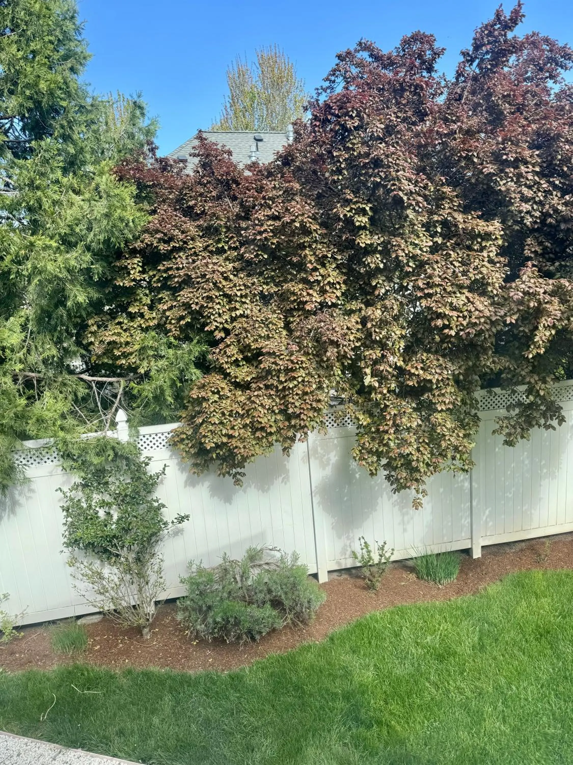 Natural landscape in Bayberry Inn B&B and Oregon Wellness Retreat