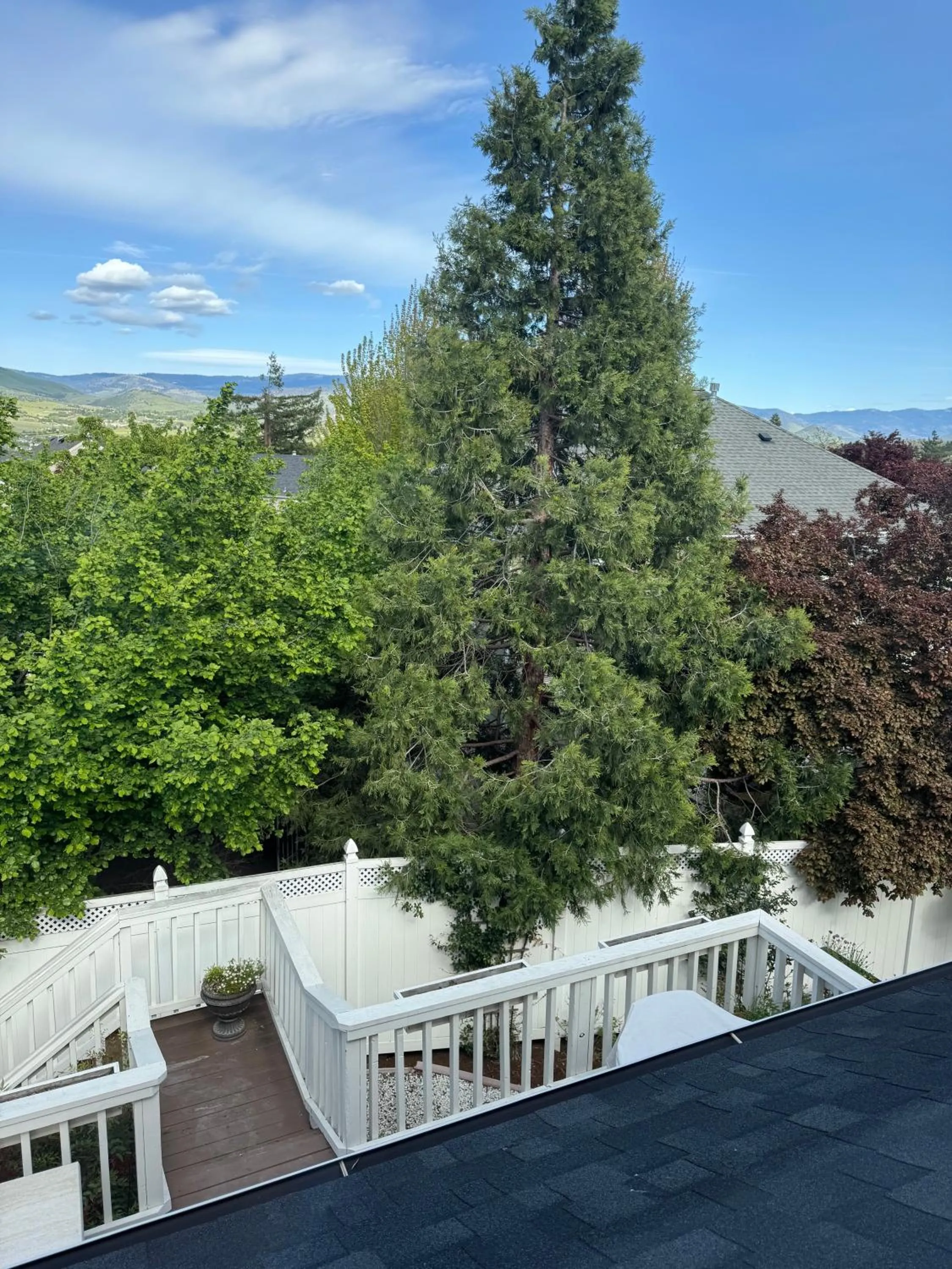 View (from property/room) in Bayberry Inn B&B and Oregon Wellness Retreat