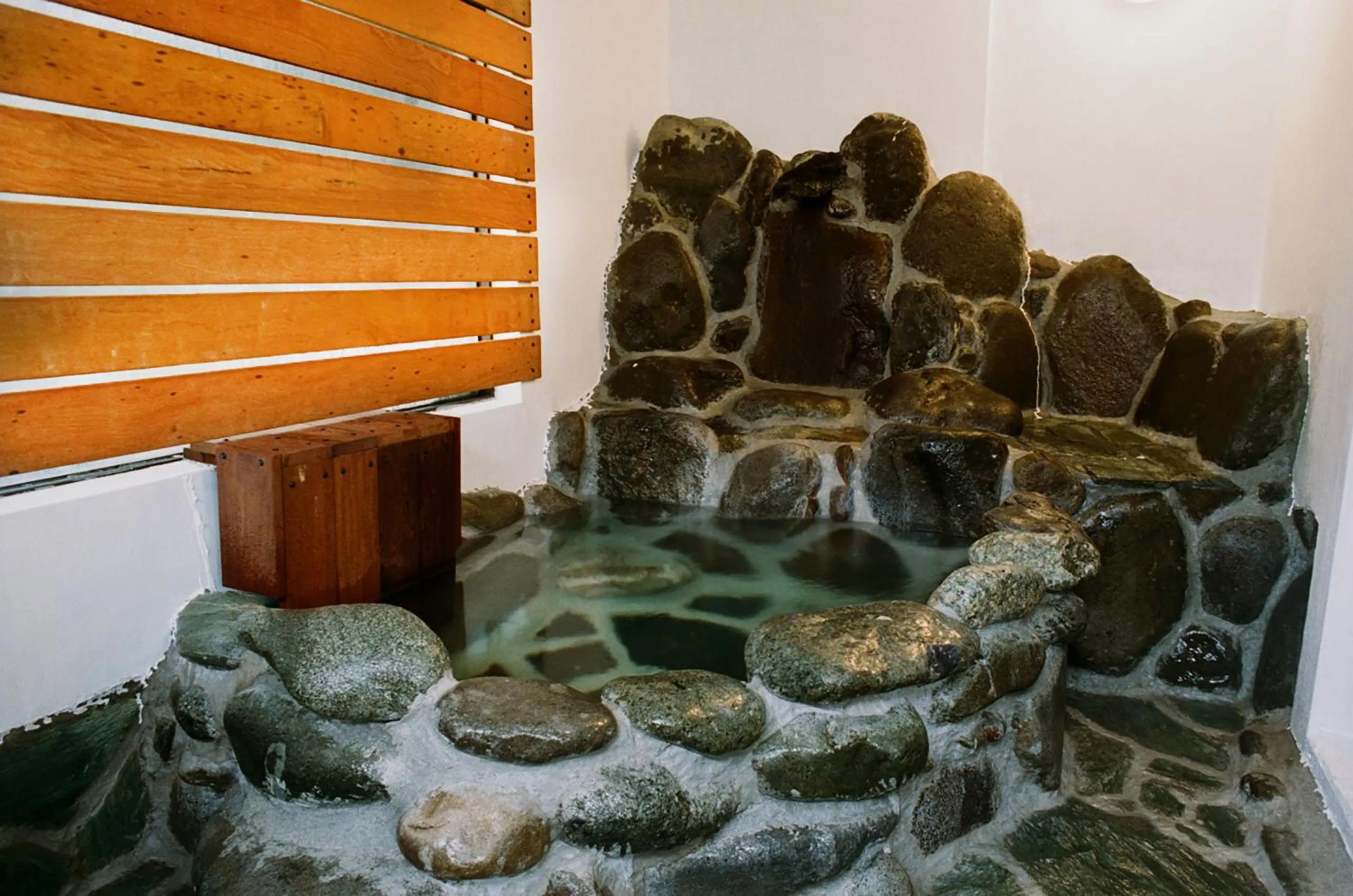 Hot Spring Bath in Hakonowa