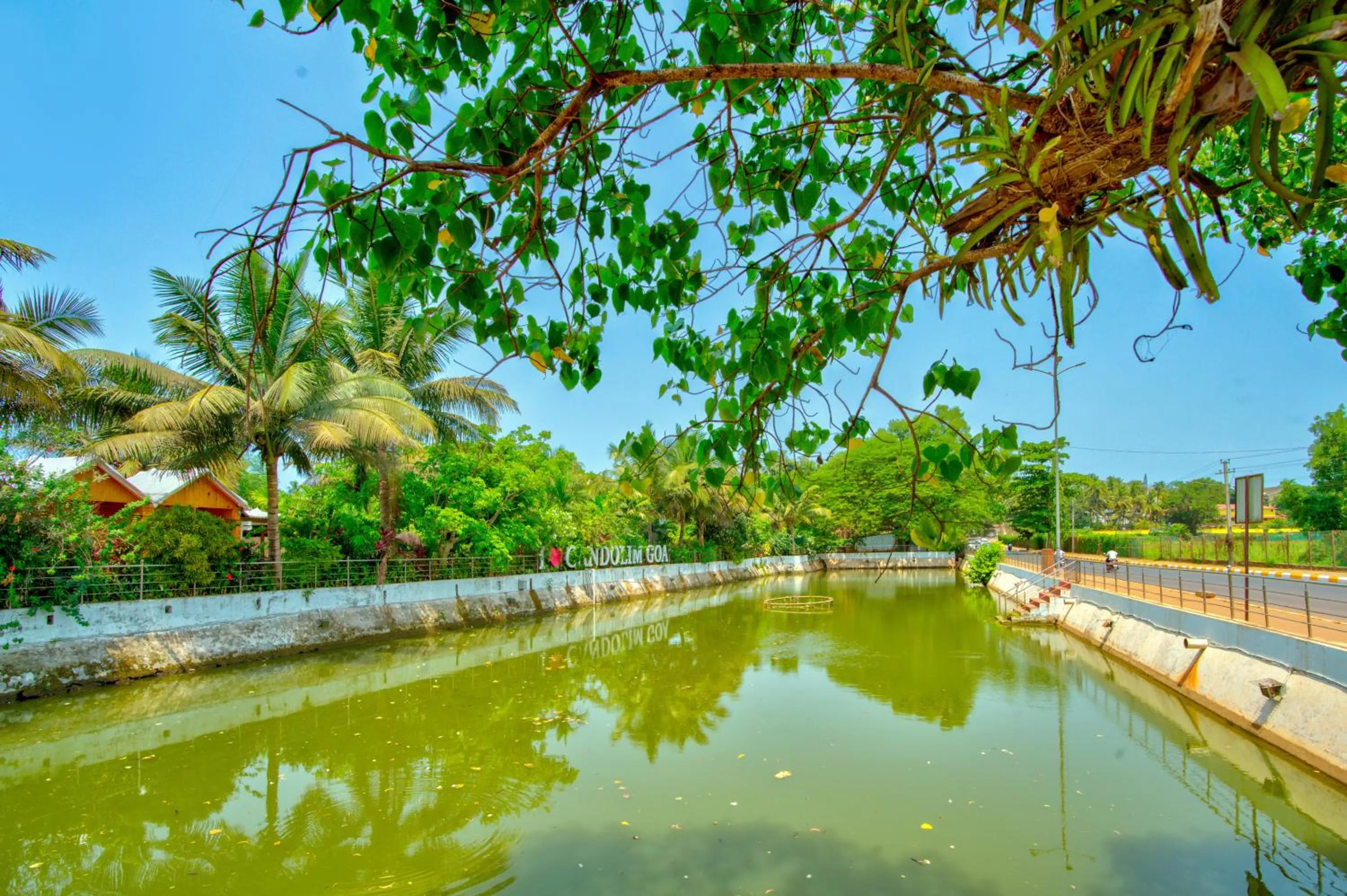 Natural landscape in The Lazy Cabanas