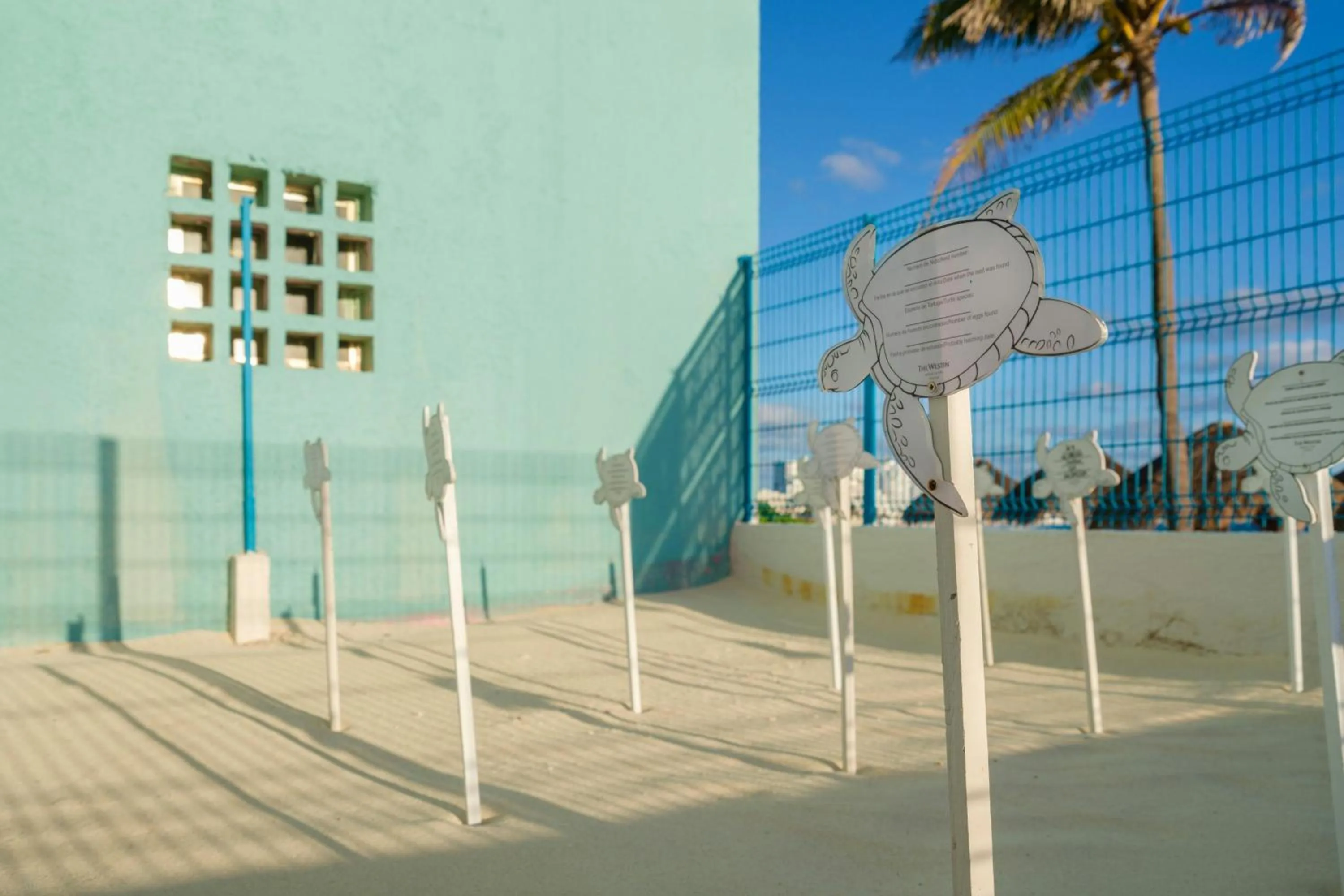 Other in The Westin Resort & Spa Cancun