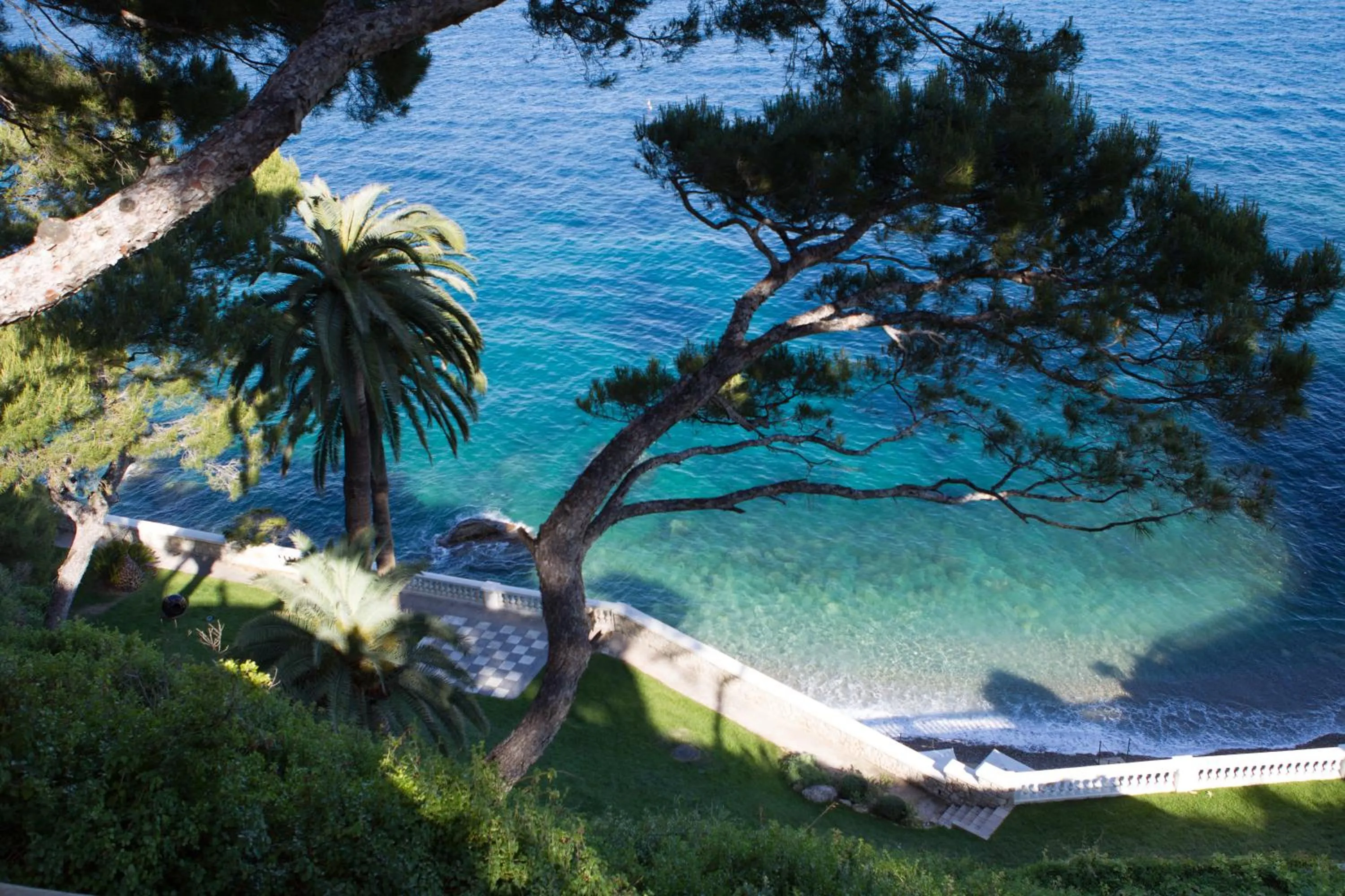 Garden in Hotel Cap Estel