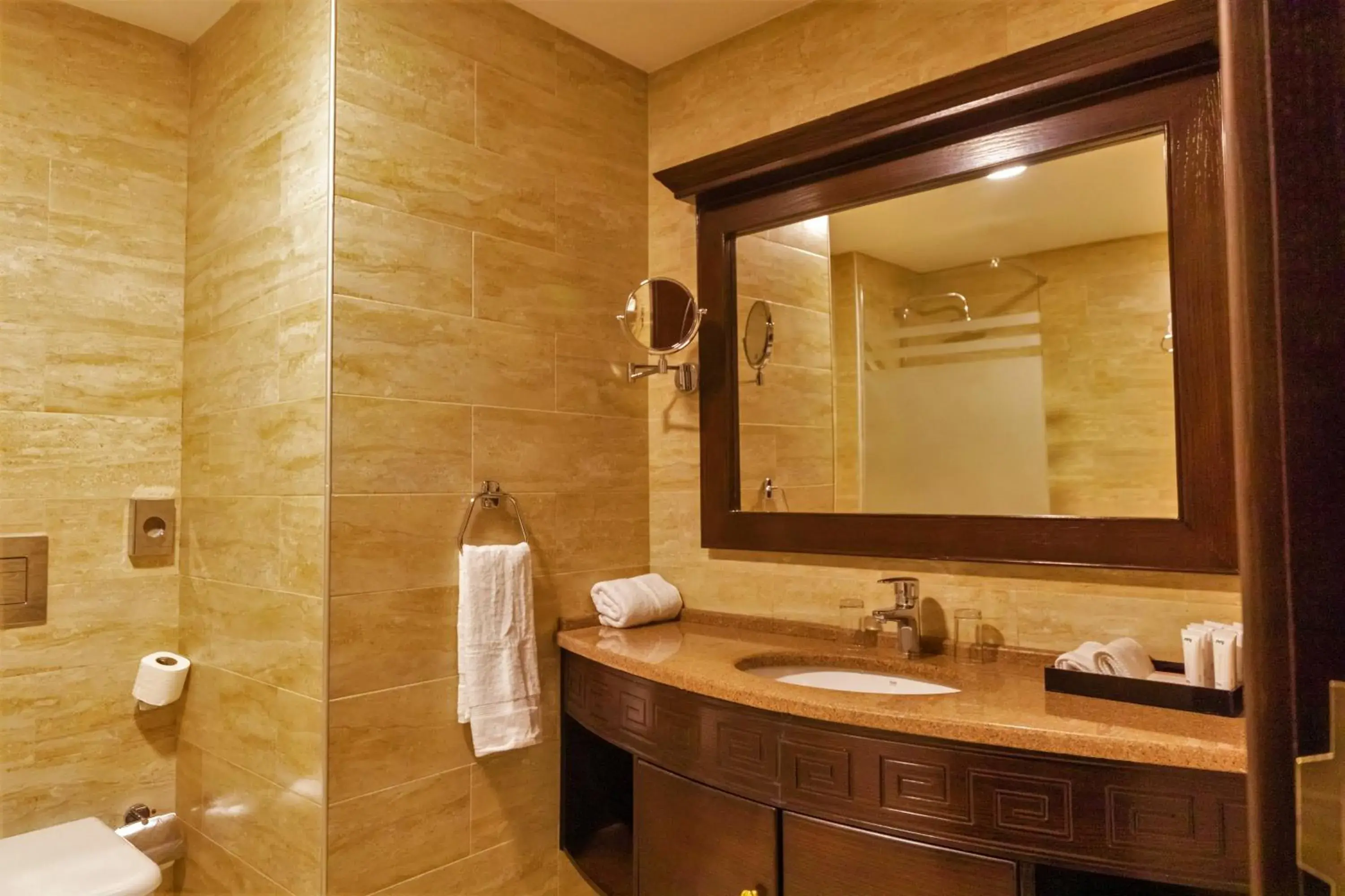 Standard Twin Room in Petra Canyon Hotel Standard Twin Room in Petra Canyon Hotel