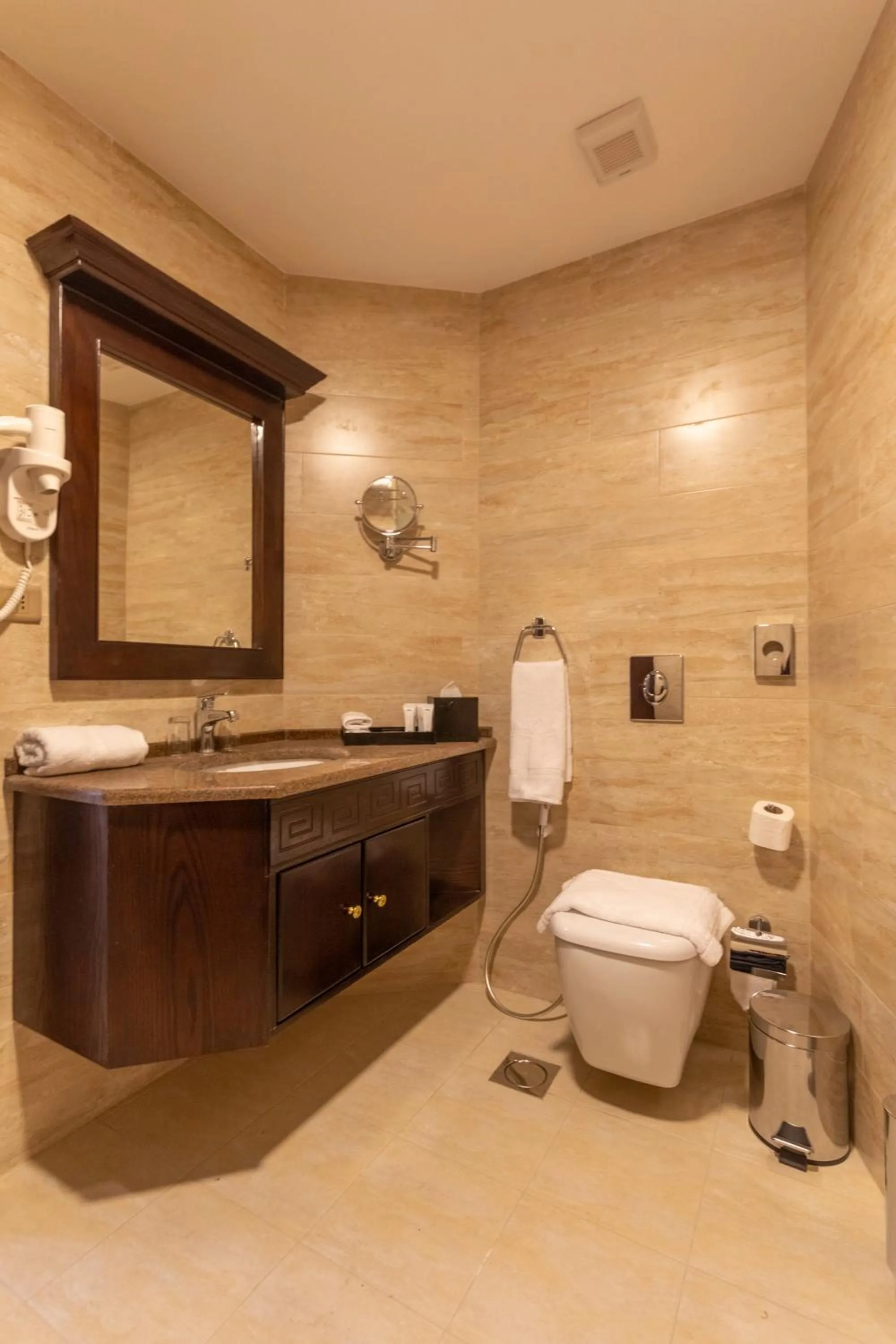 Bathroom in Petra Canyon Hotel