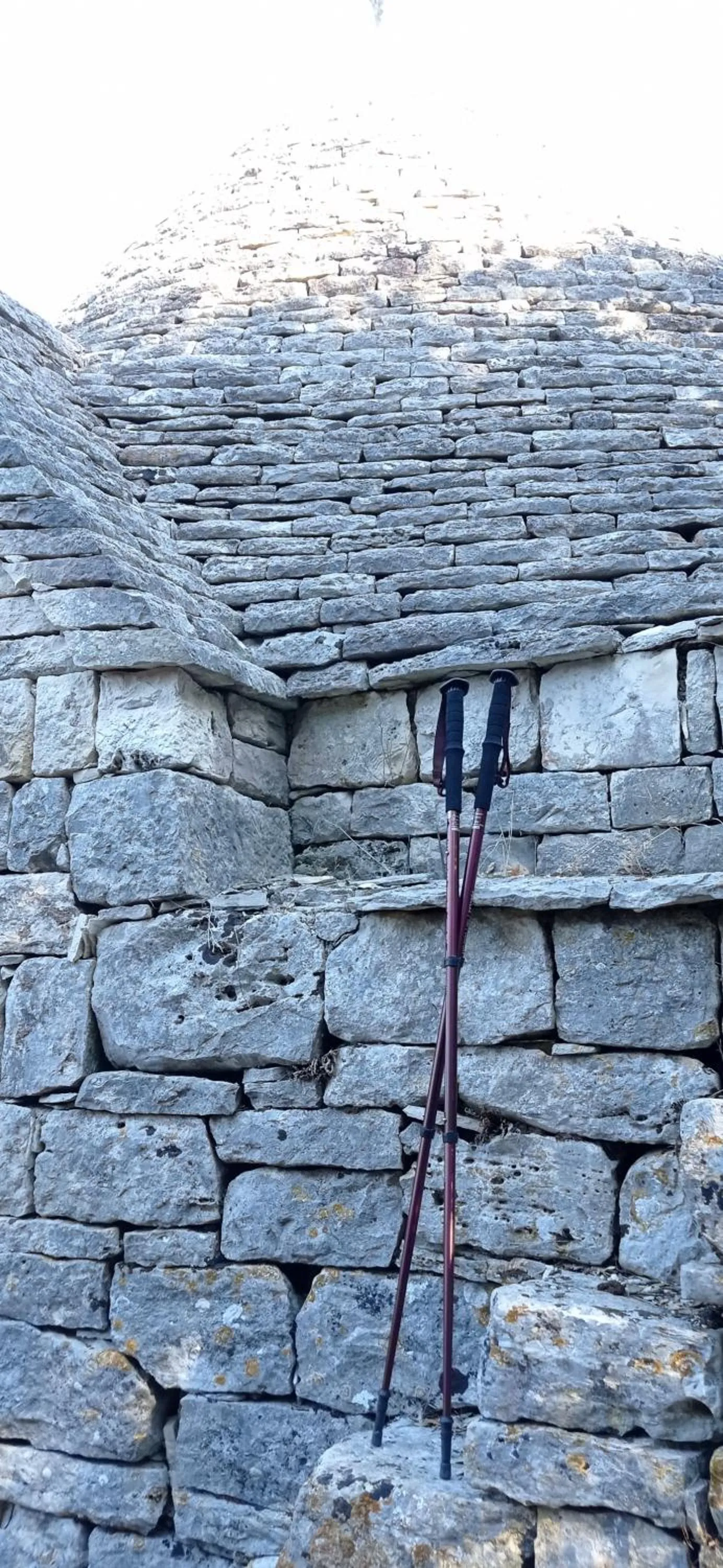 Natural landscape in Dimora Pianelle