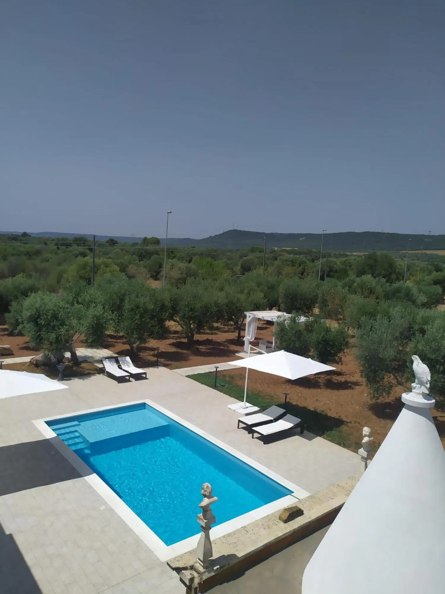 Swimming pool in Dimora Pianelle