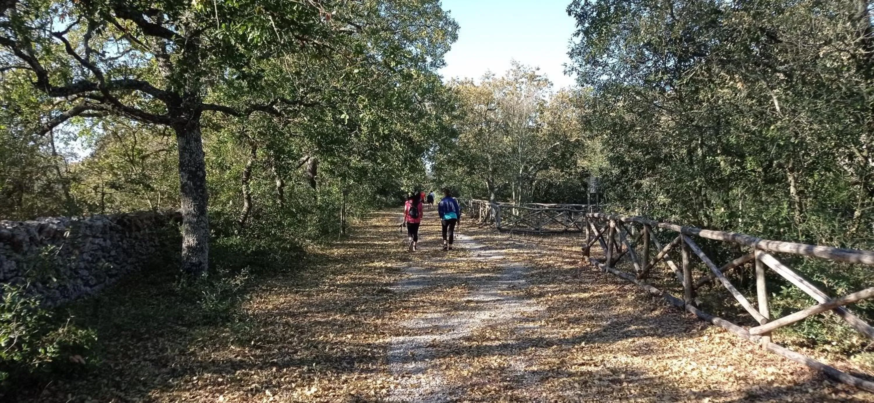 Natural landscape in Dimora Pianelle