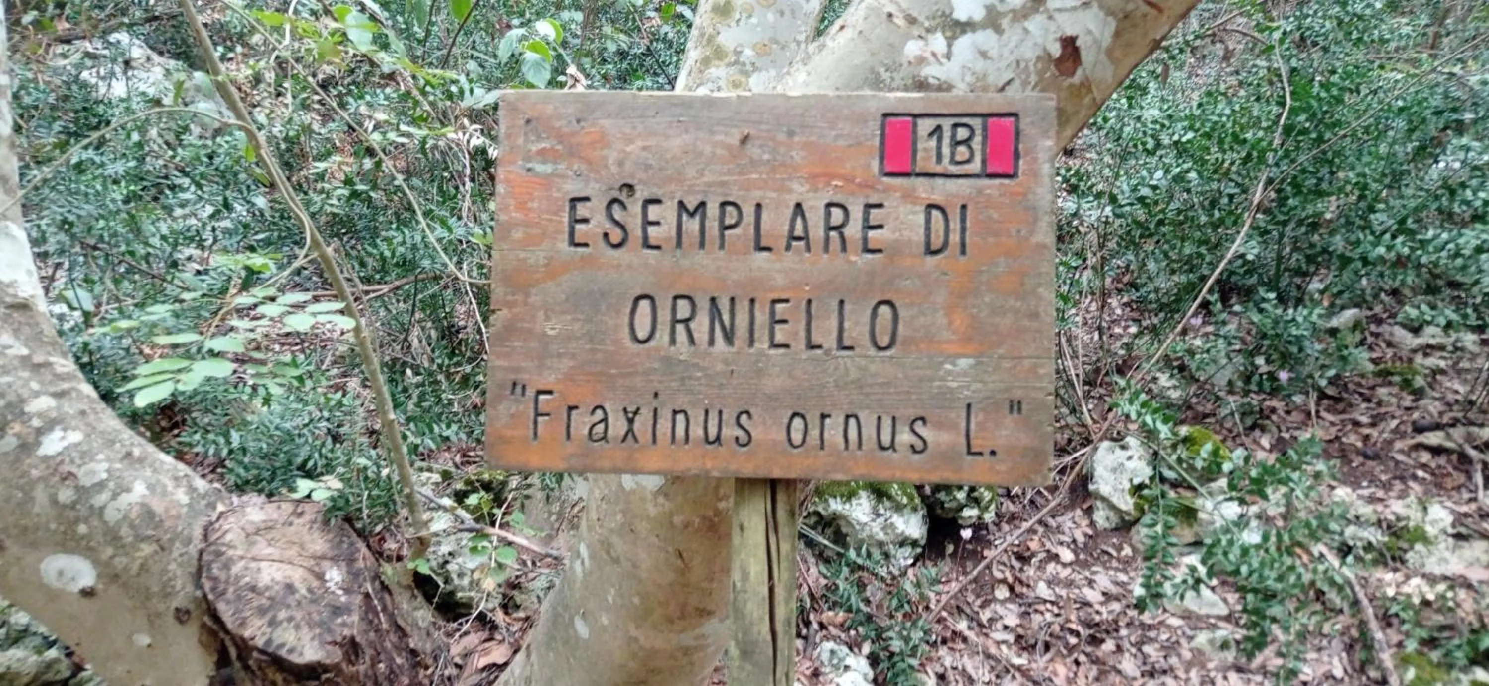 Natural landscape in Dimora Pianelle