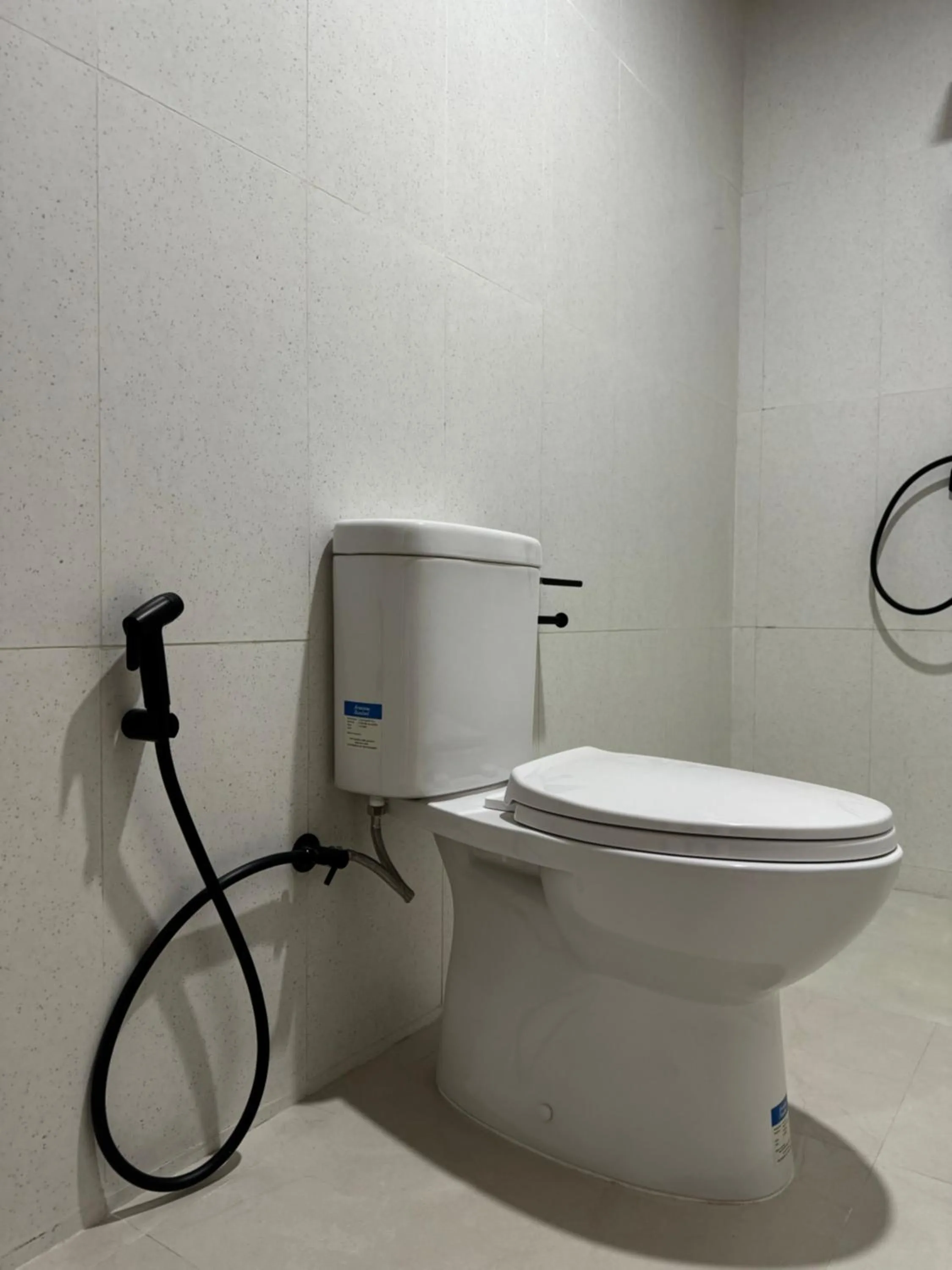 Bali Astetic Villa and Hot Spring