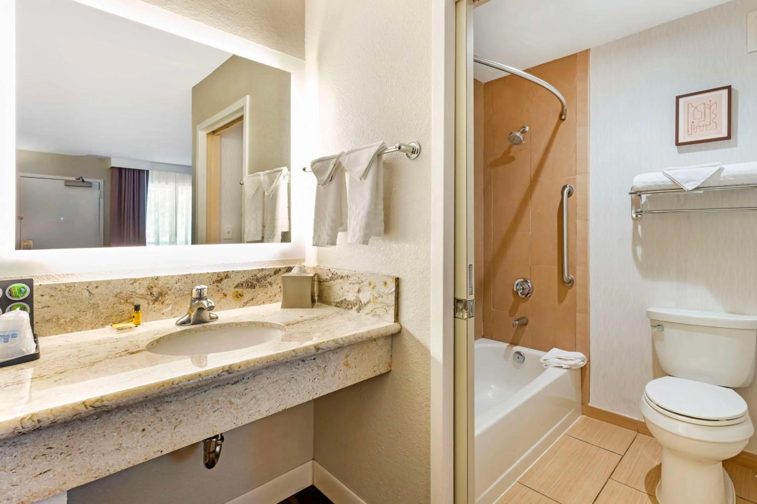 Bathroom in Best Western Plus Rancho Cordova Inn