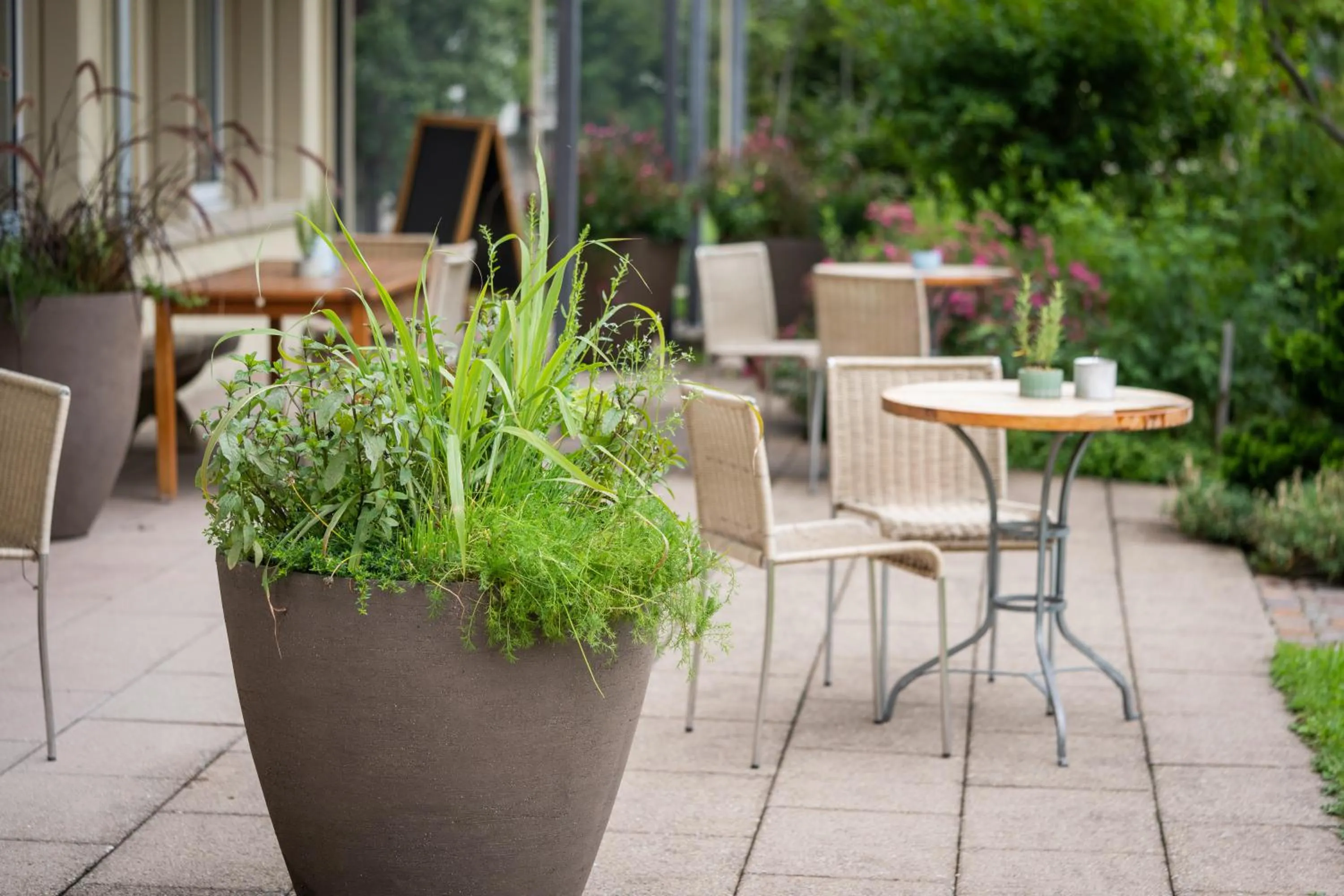 Restaurant/places to eat in Vegan Health Hotel Sonnenberg