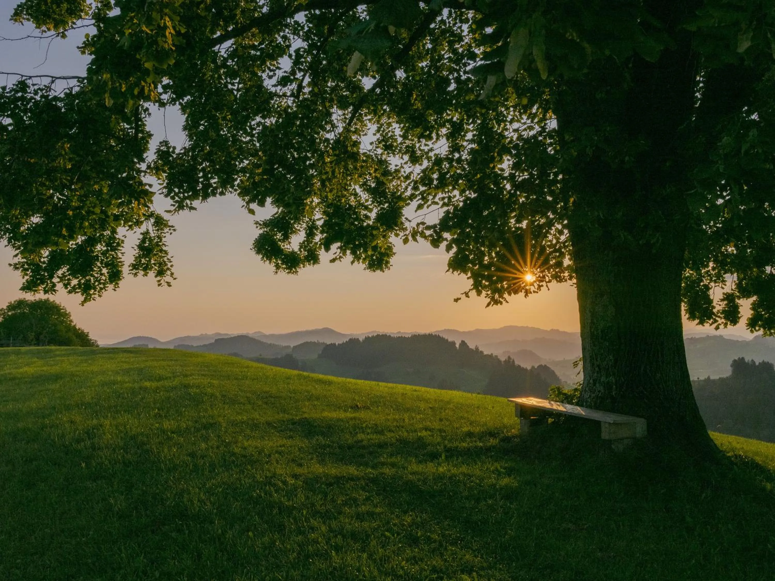 Day in Vegan Health Hotel Sonnenberg